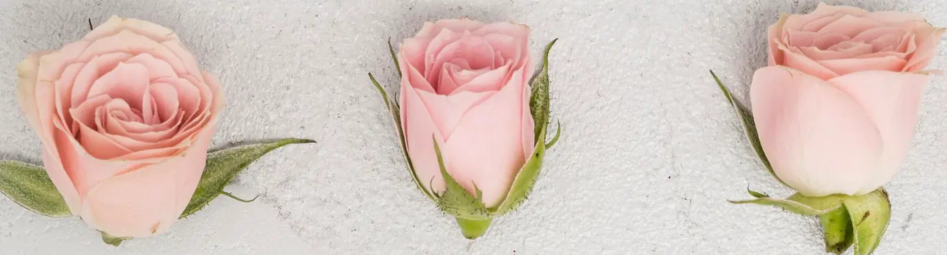Ramos de flores para bodas