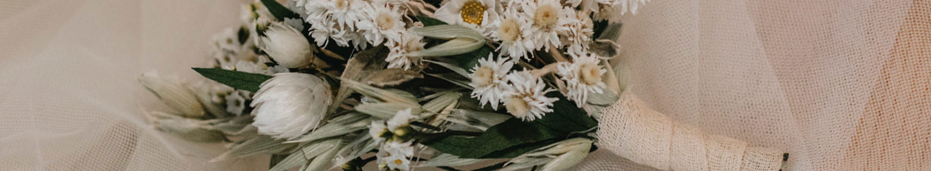 prendidos flores preservadas