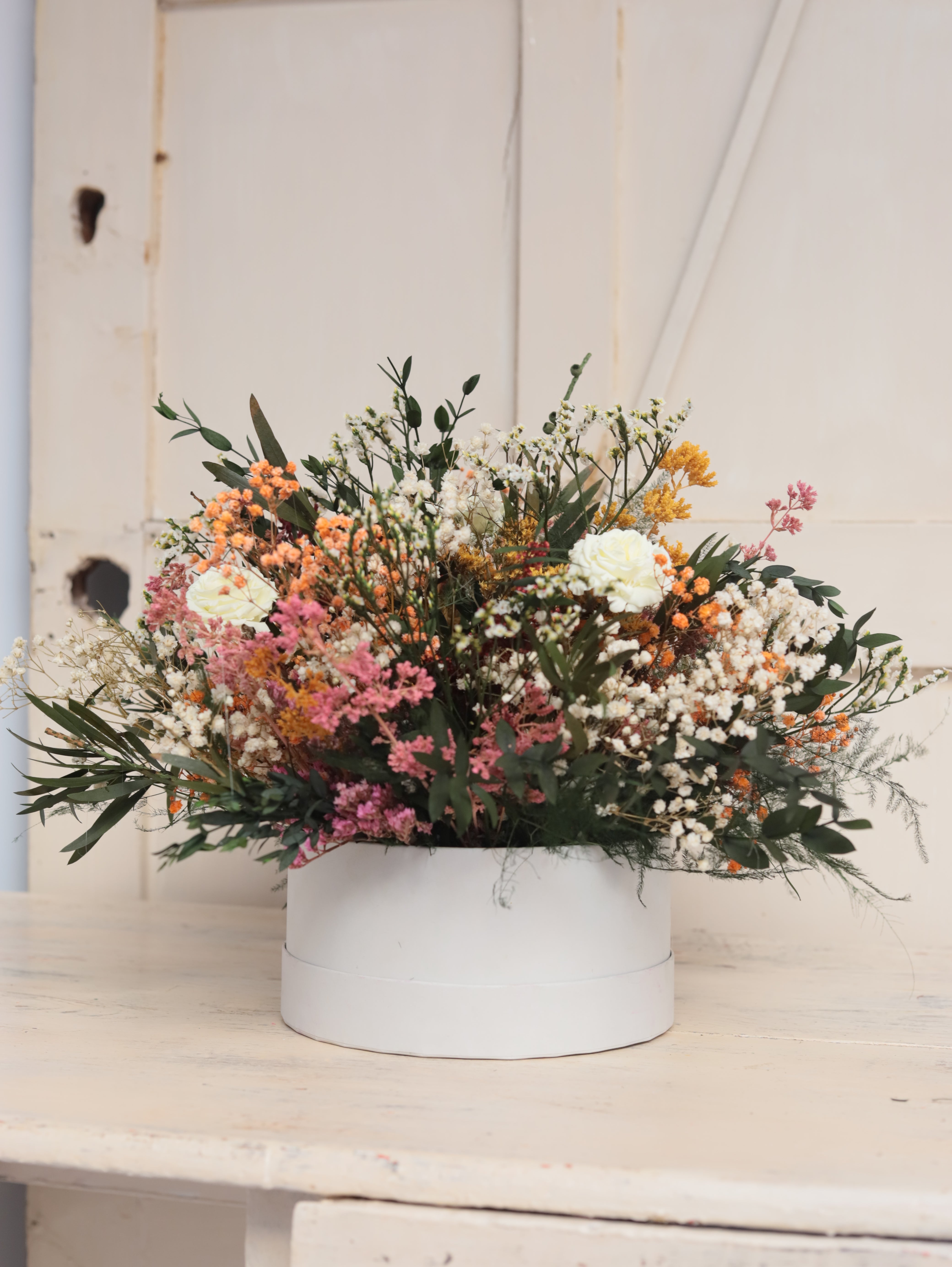 paniculata preservada