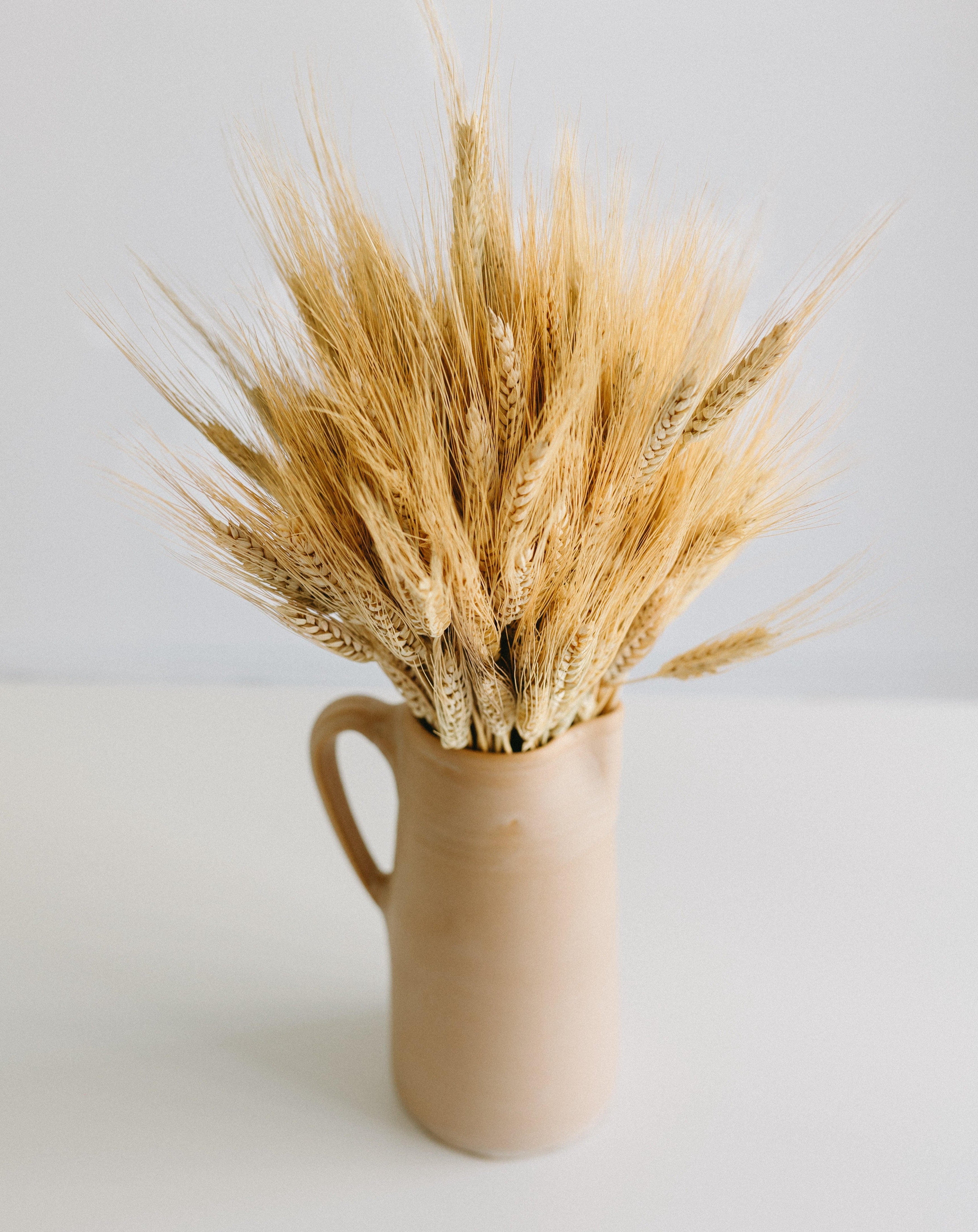 Triticum seco color natural