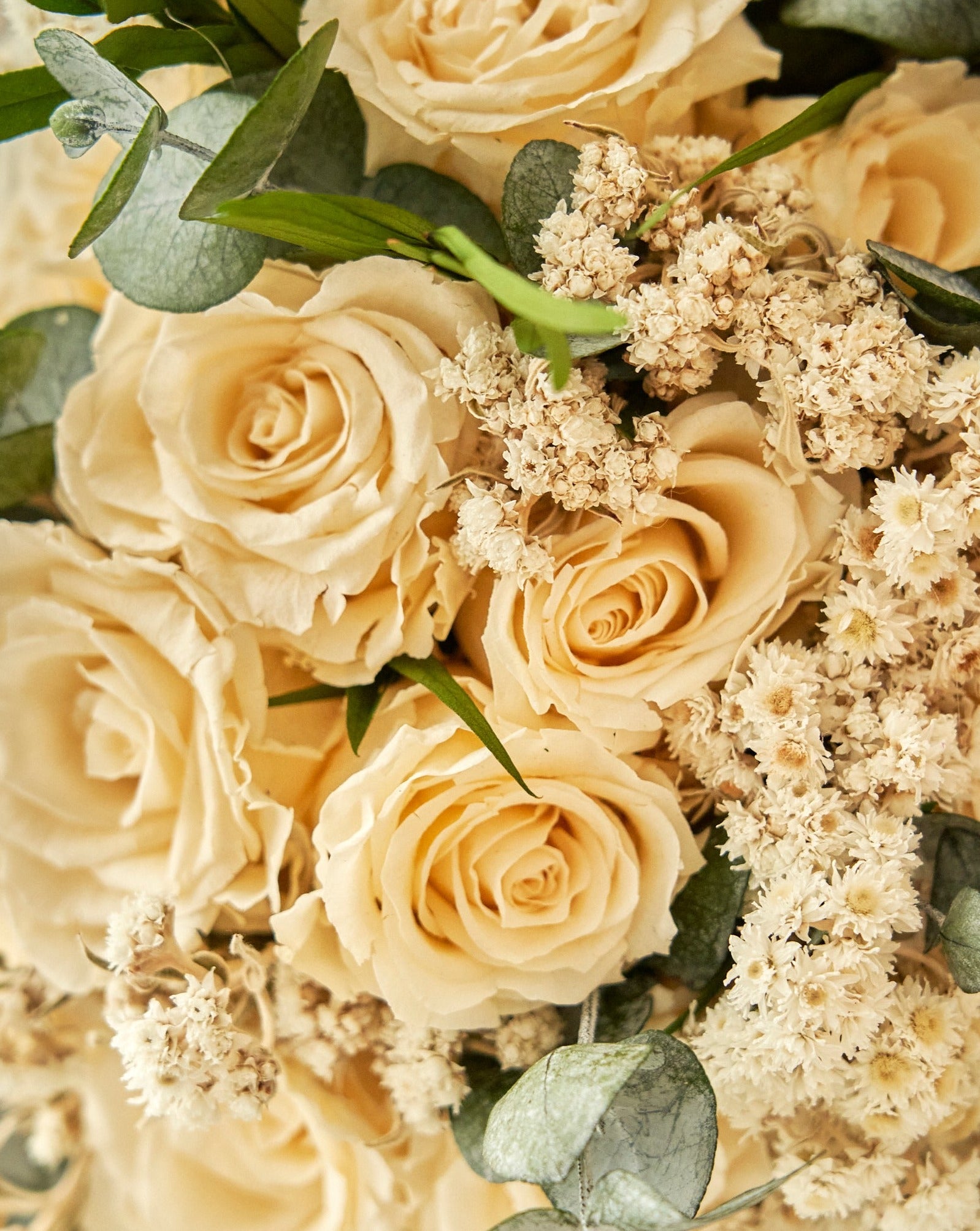 Ramo novia rosas y margaritas