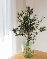 Flor de olivo preservado 