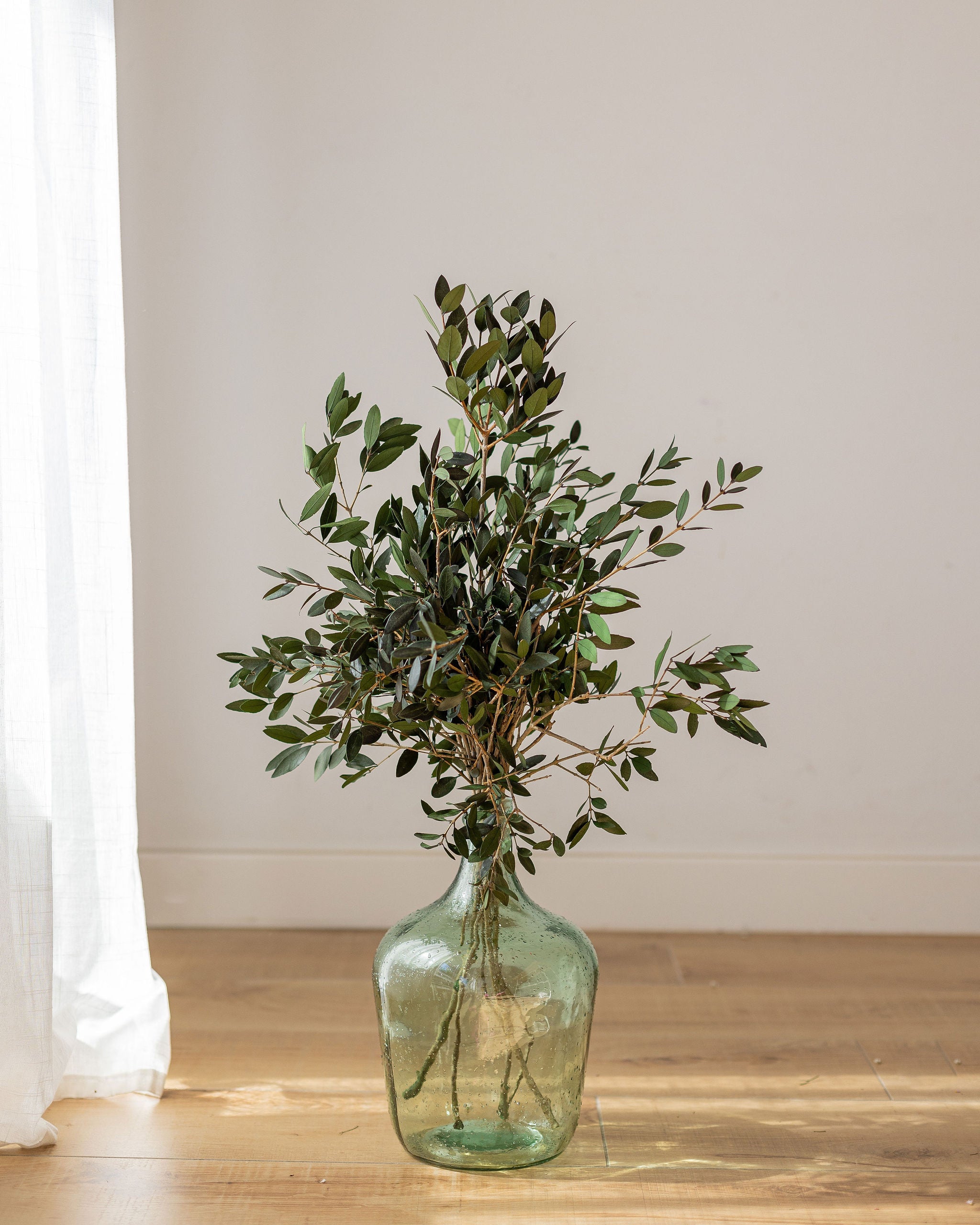 Olivo natural preservado flor