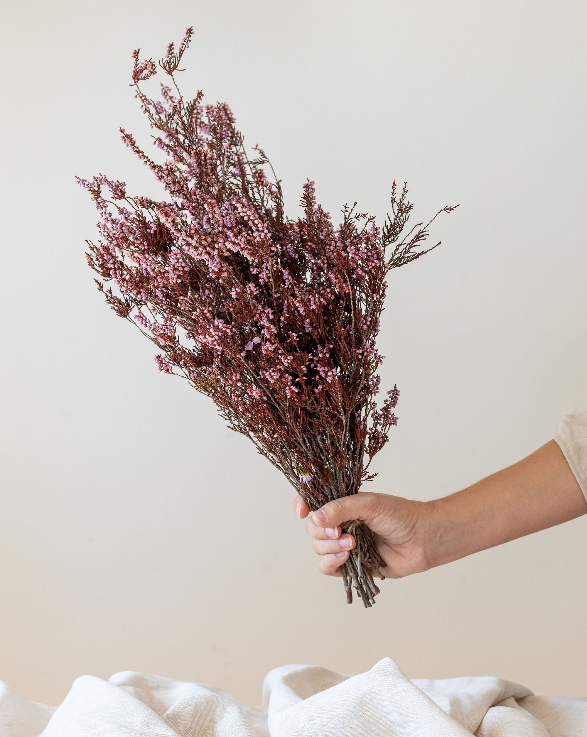 Ramillete Erica preservada brezo