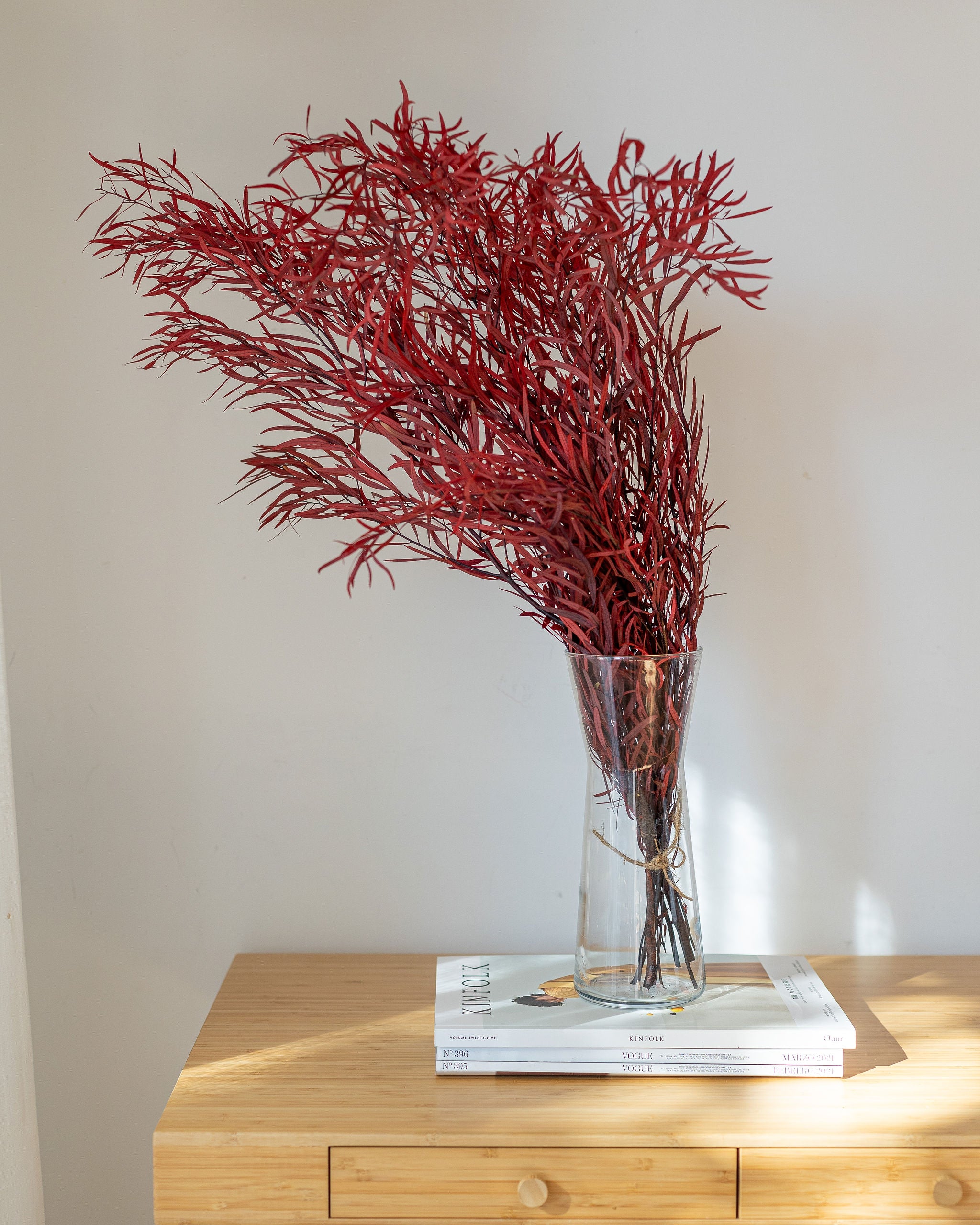 Ramo Eucalyptus nicholi rojo