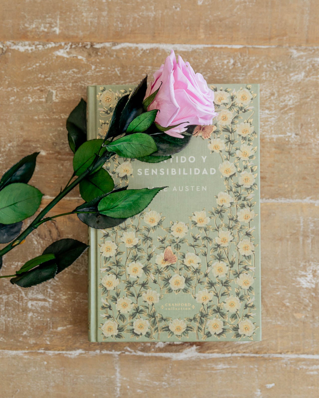 Rosa preservada eterna rosa