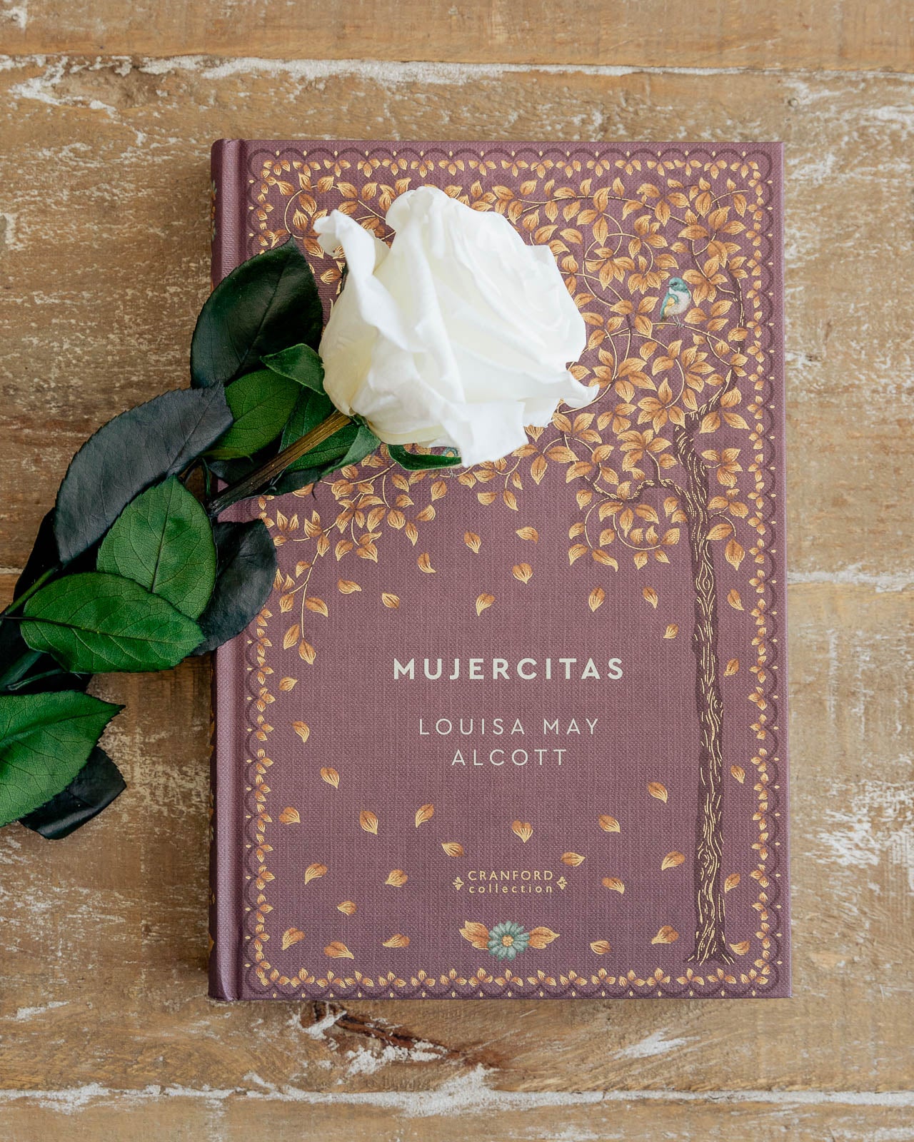 Flor preservada rosa blanca