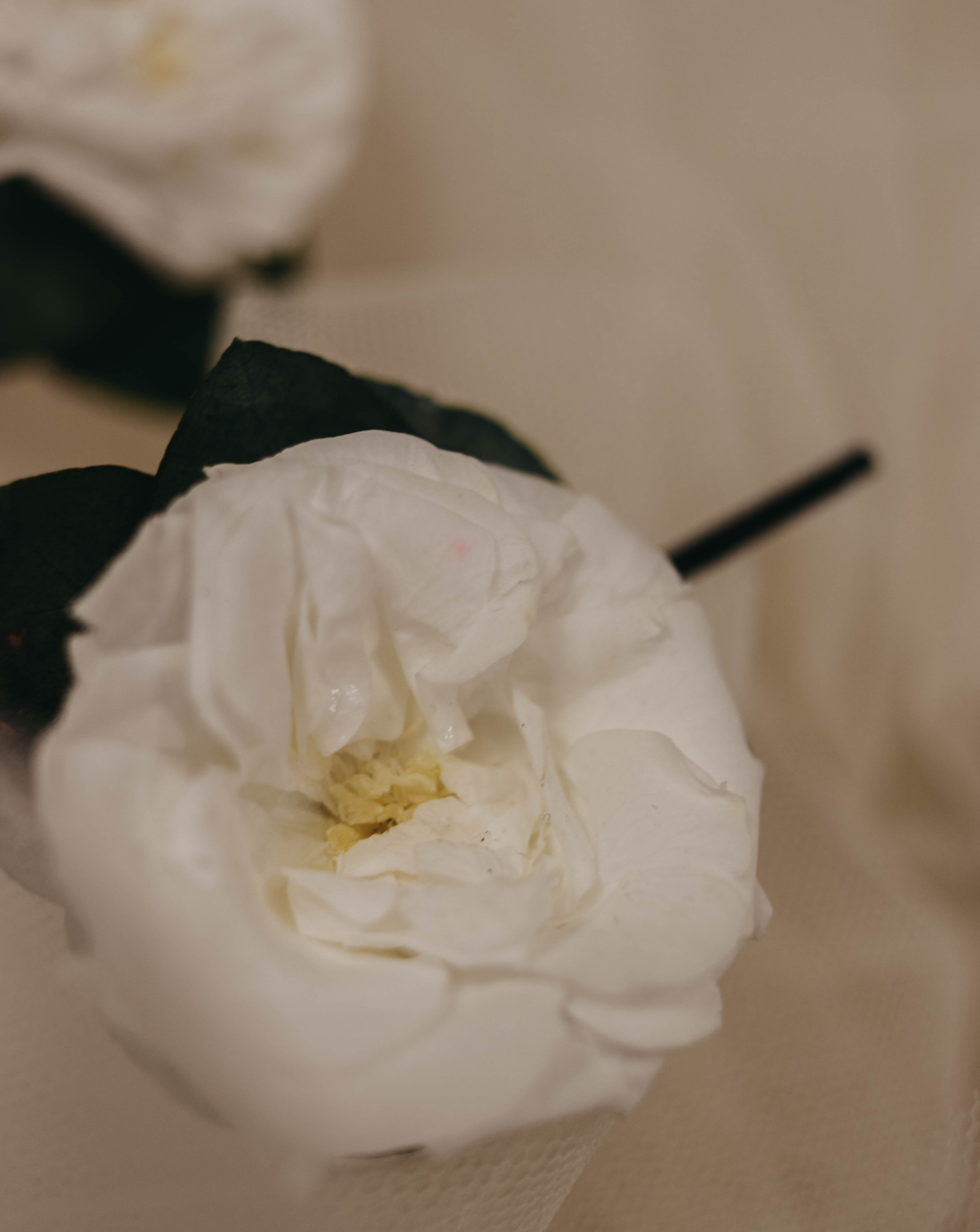 detalle flor pelo peinado