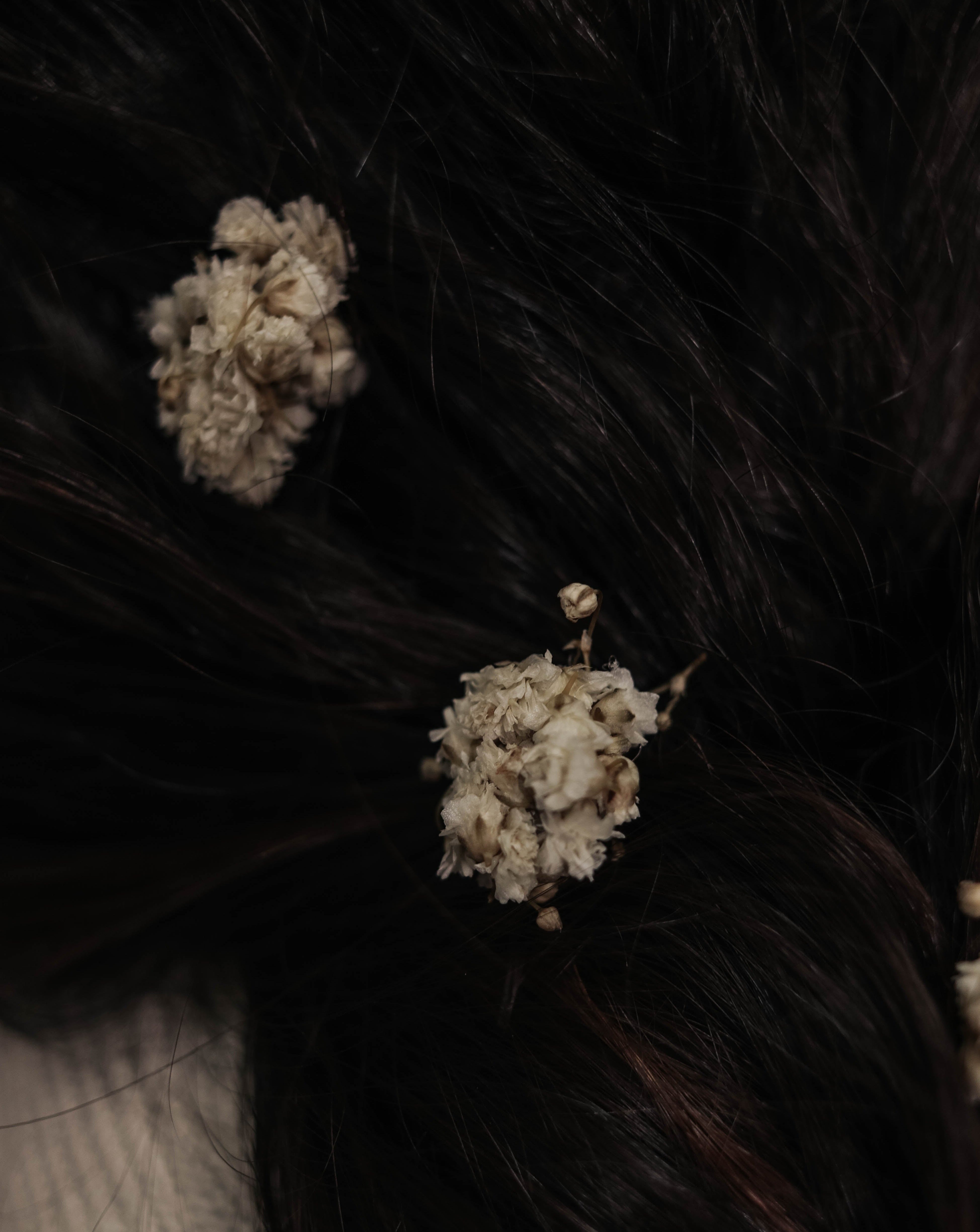 HORQUILLAS O PASADORES