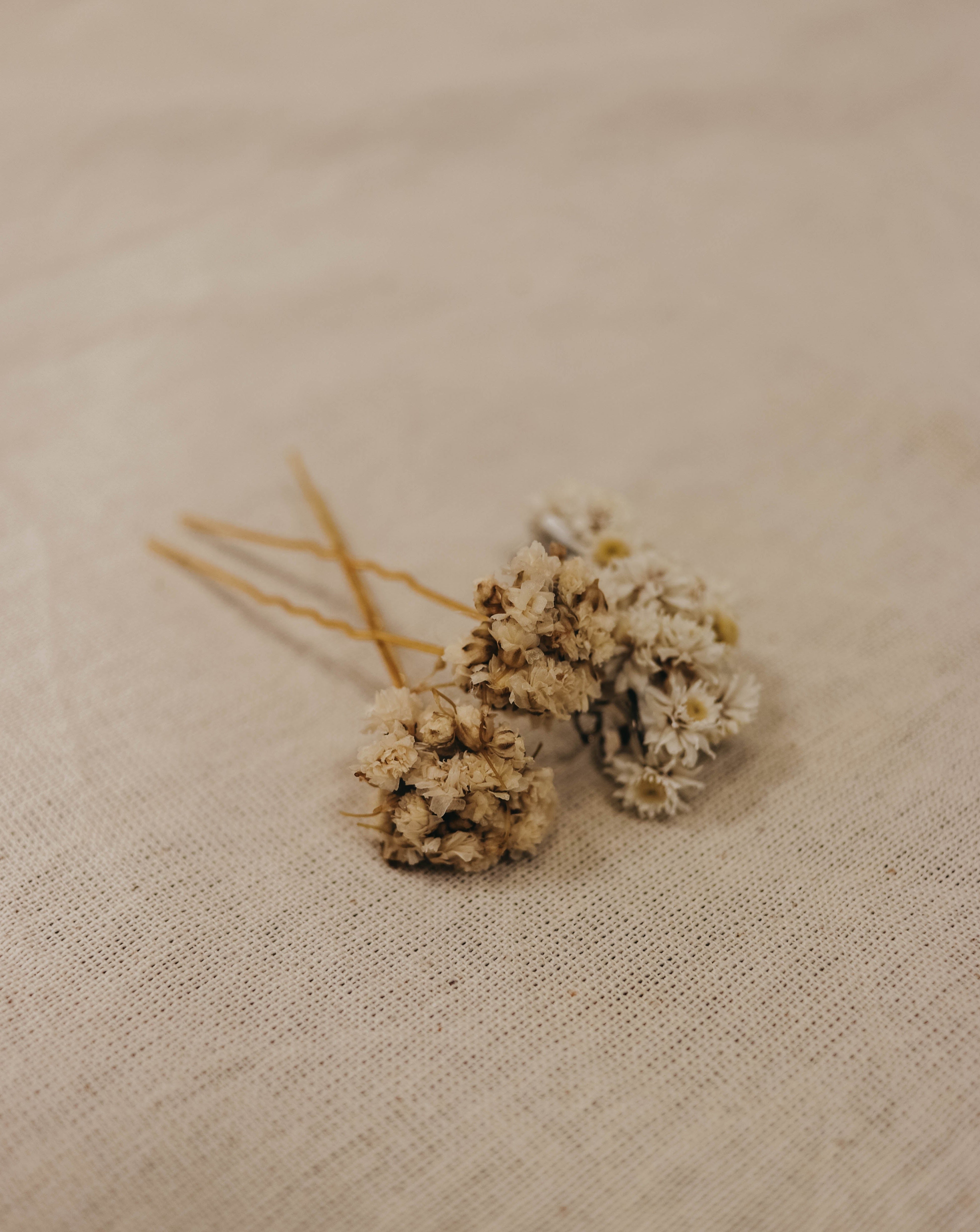 horquillas margaritas paniculata