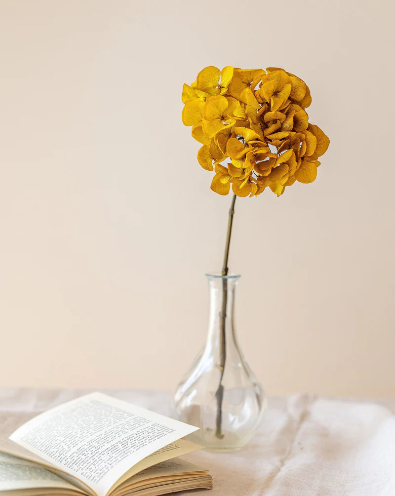 HORTENSIA PRESERVADA BLANCA