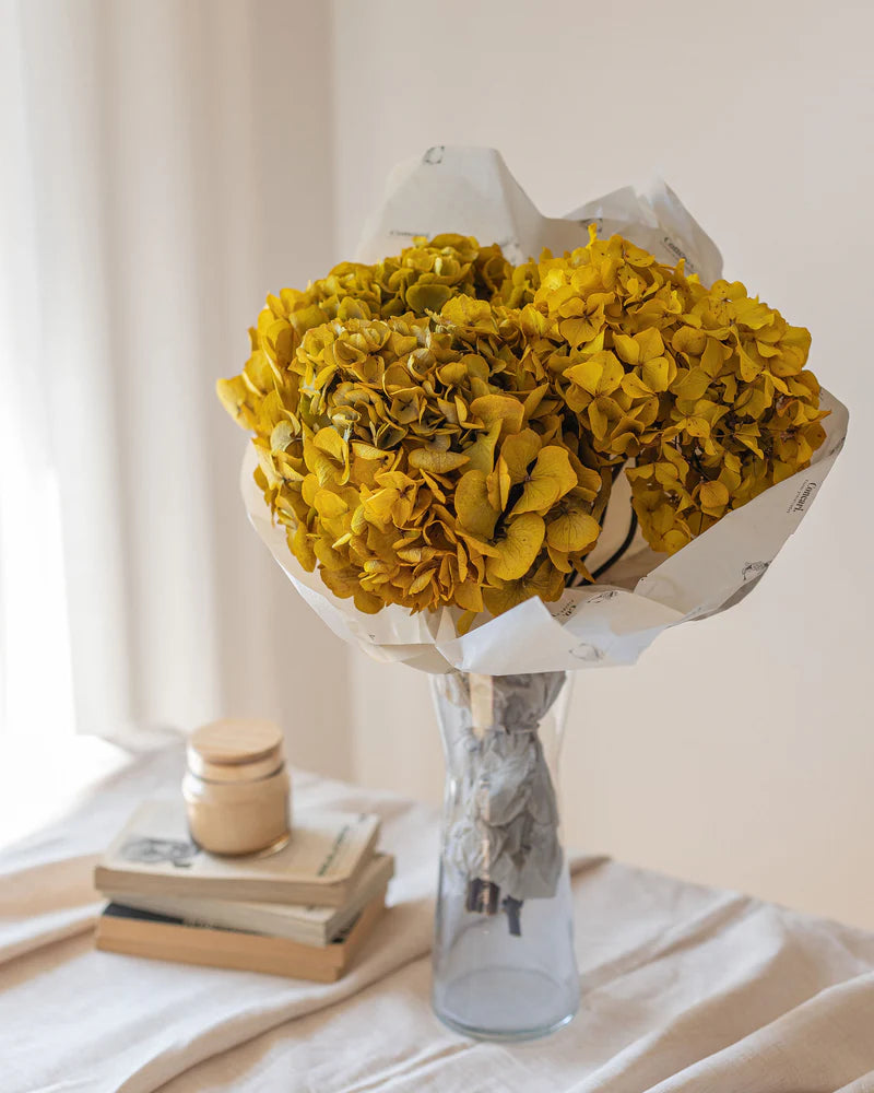 HORTENSIA PRESERVADA BLANCA