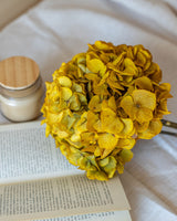 Ramillete hortensia preservada colores 