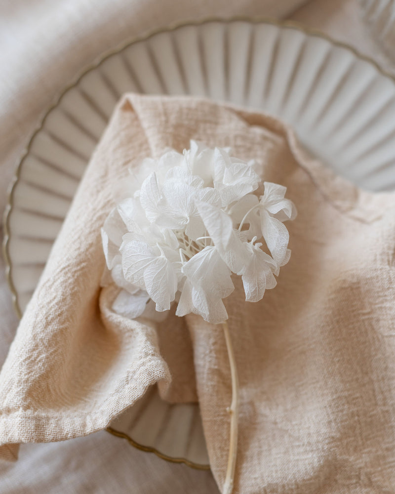 Pomo hortensia preservada blanca 
