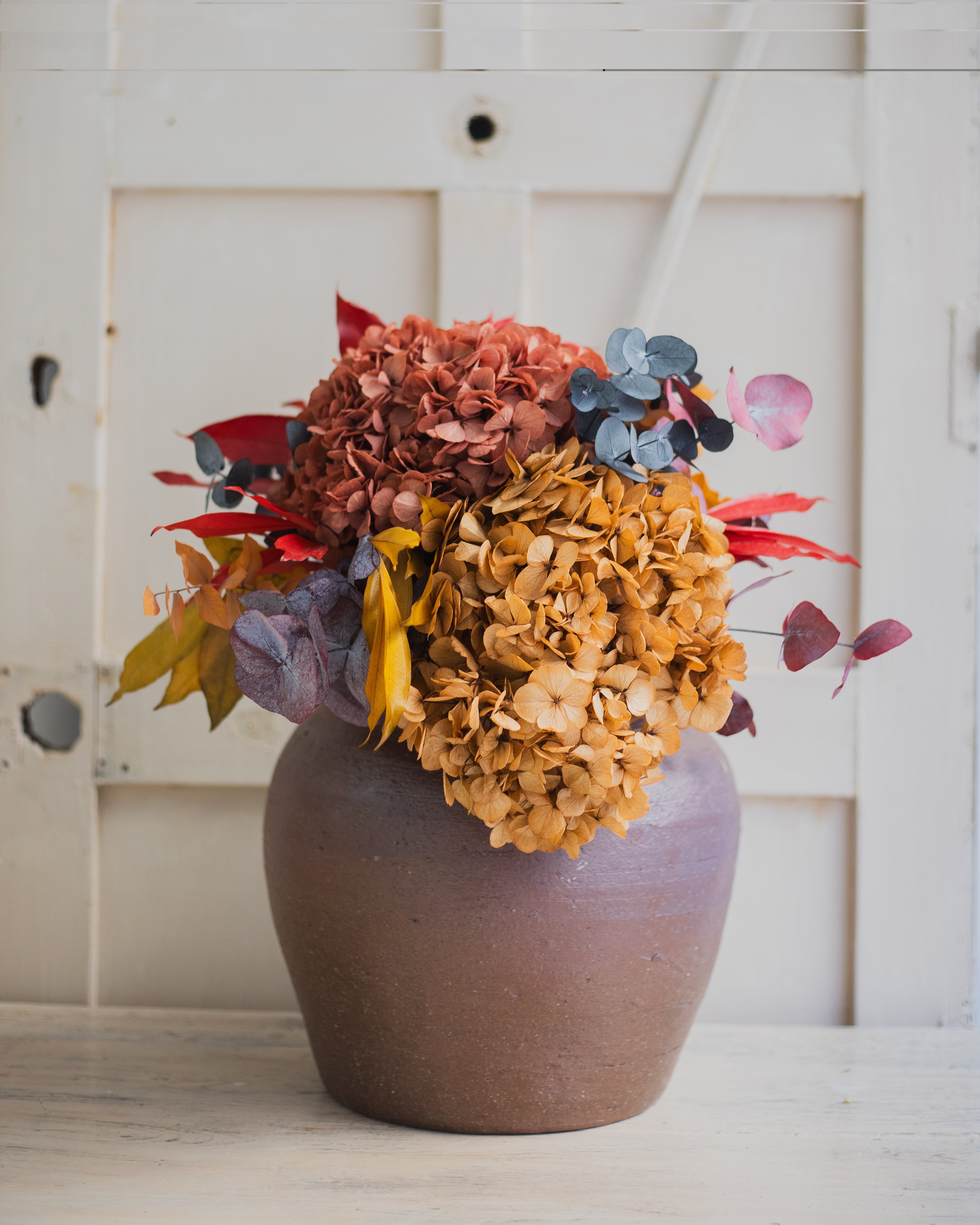 hortensia preservada