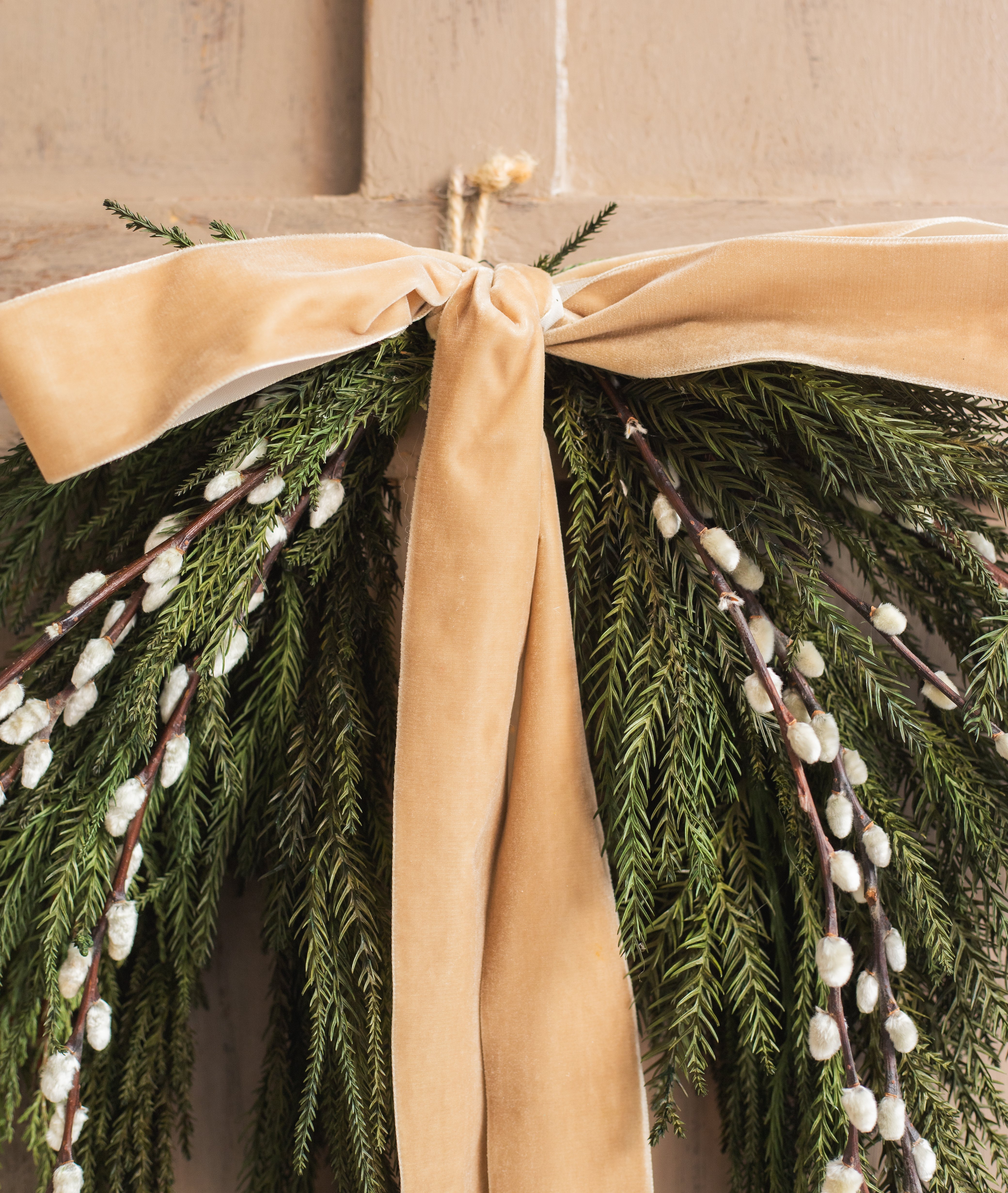 salix blanco navidad