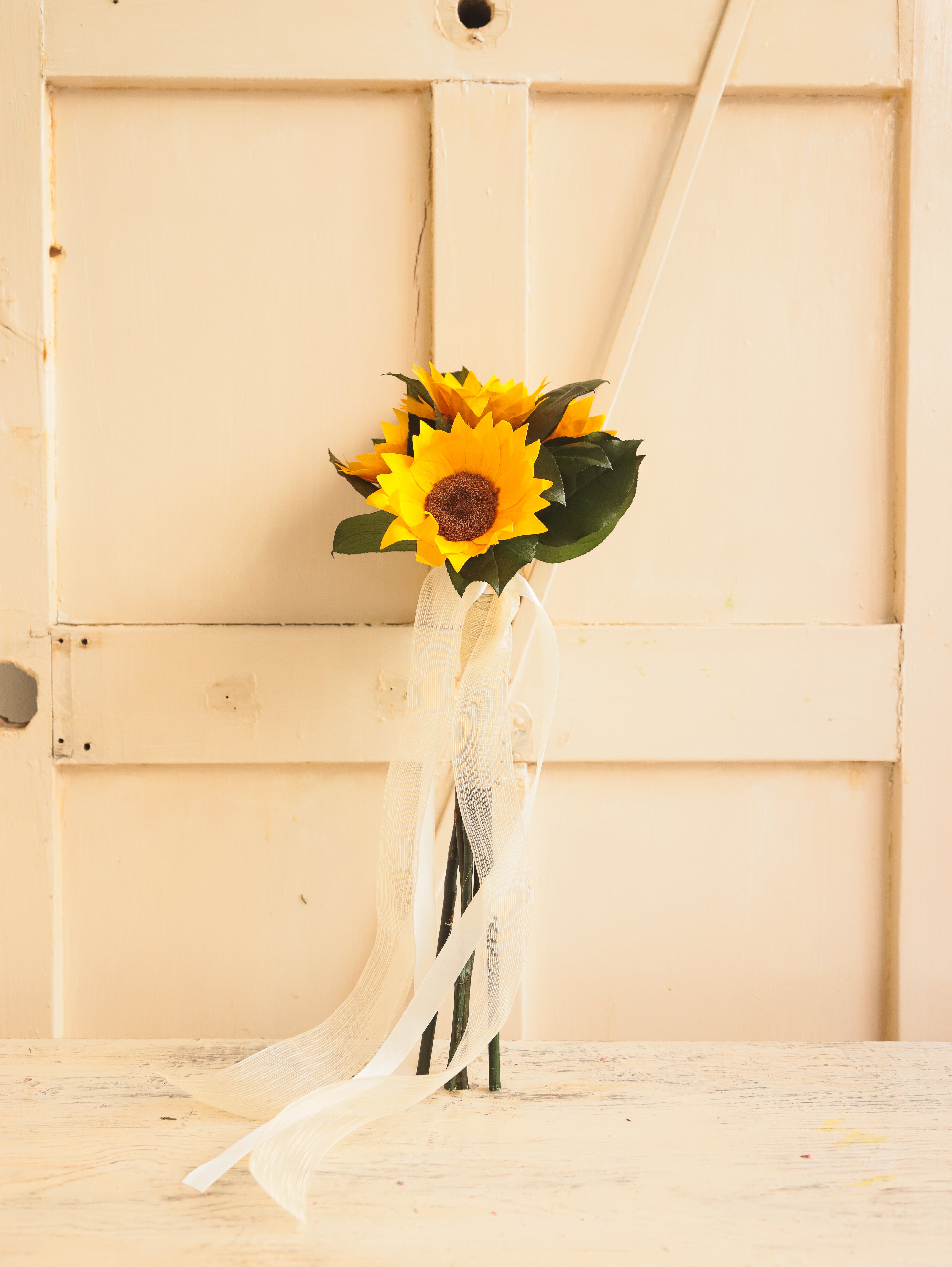 Girasoles preservados