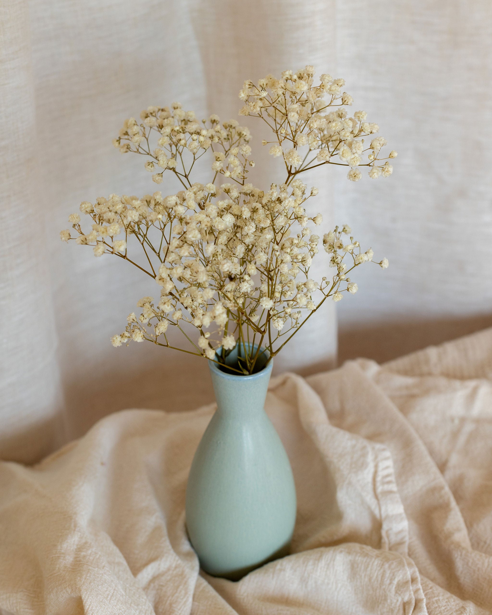 Jarrón paniculata natural preservada
