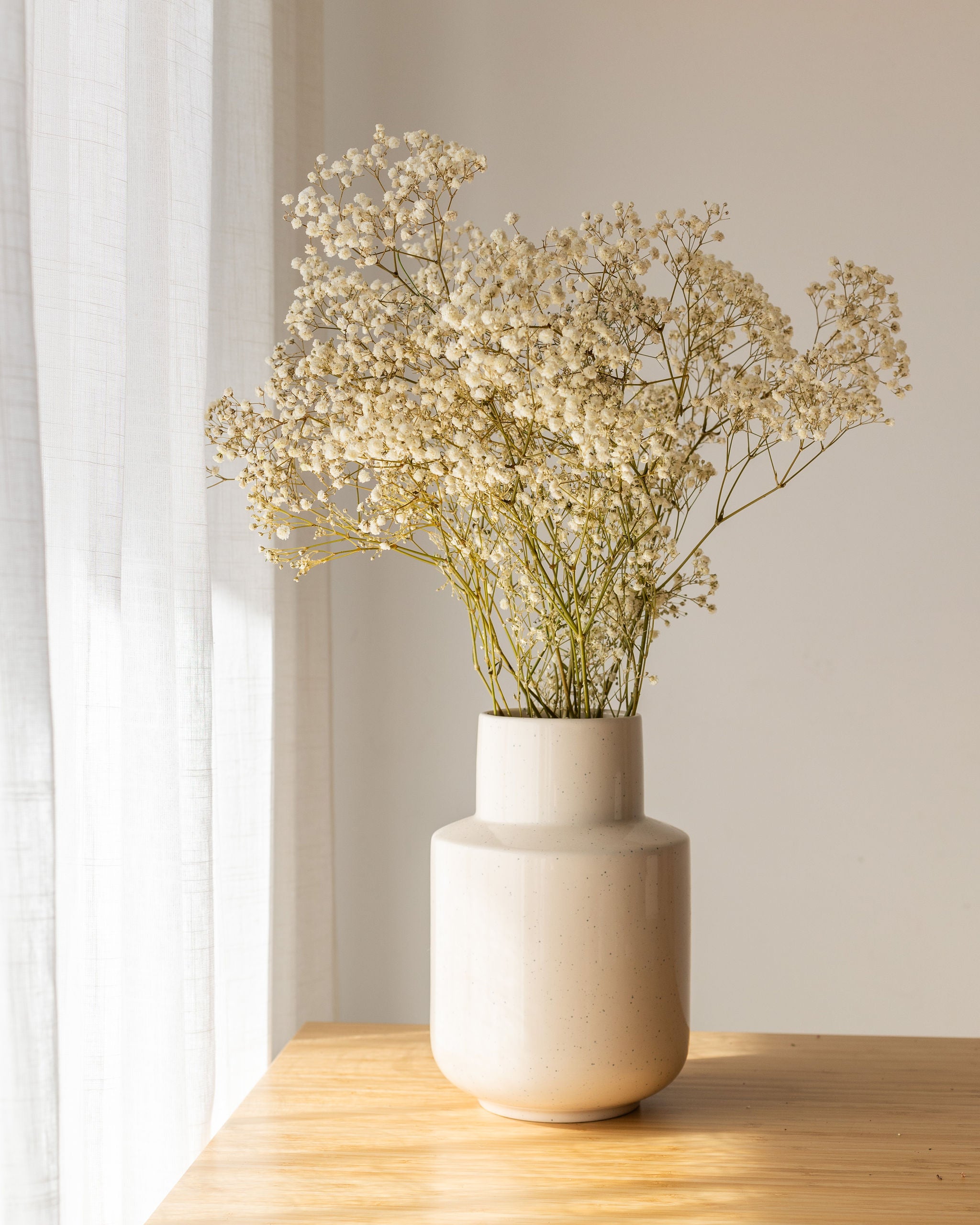 Ramo paniculata preservada beige