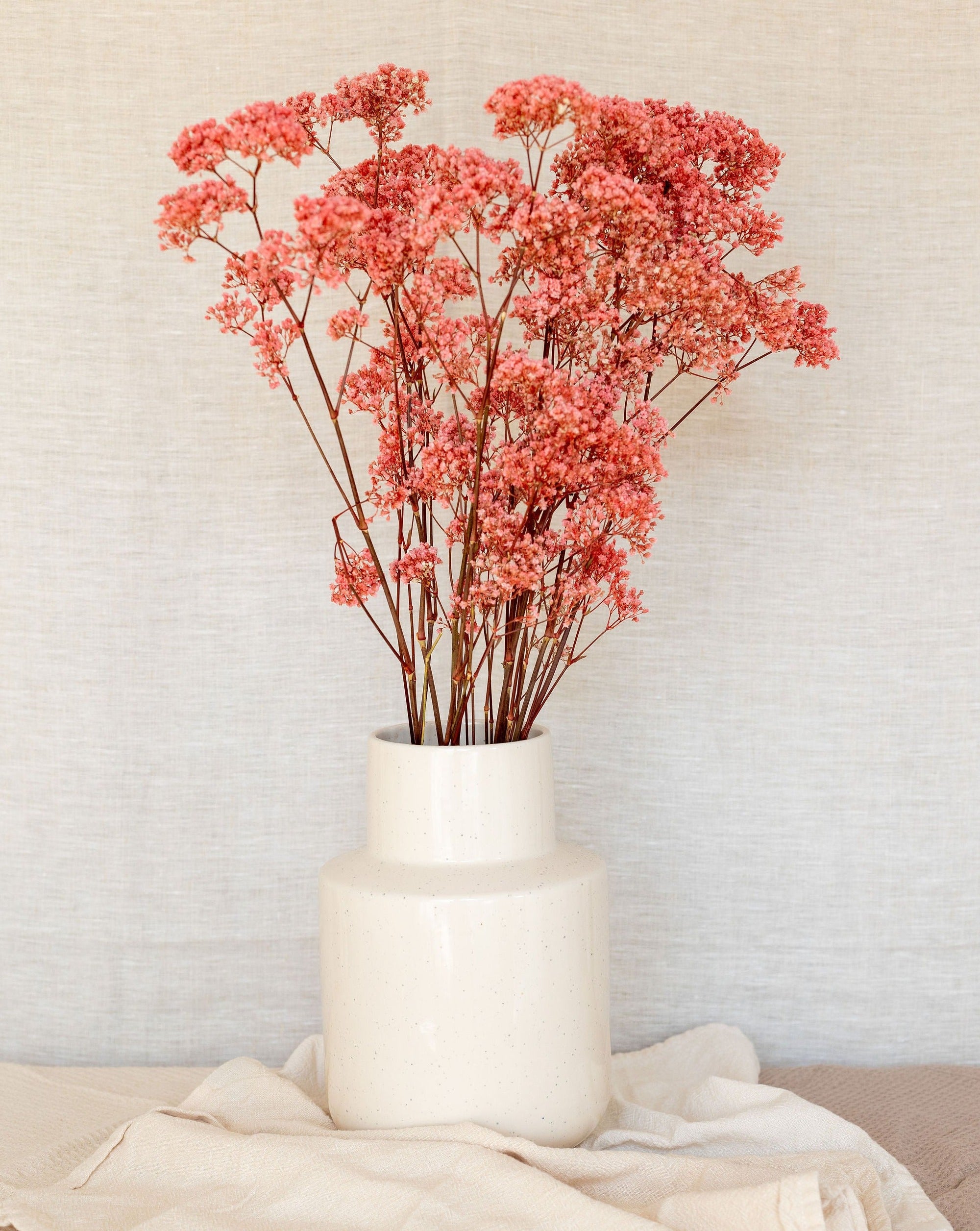 Paniculata million preservada