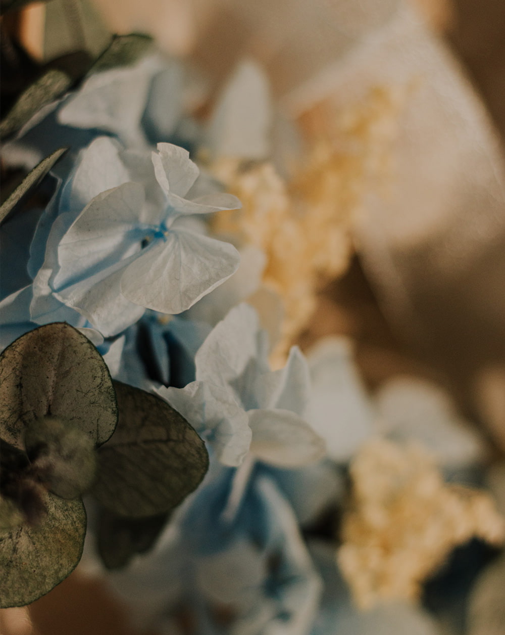 porta alianzas hortensias porta alianzas flores preservadas Flores de hortensia azul y blanca con eucalipto cinerea y brooms blanco.
lazada