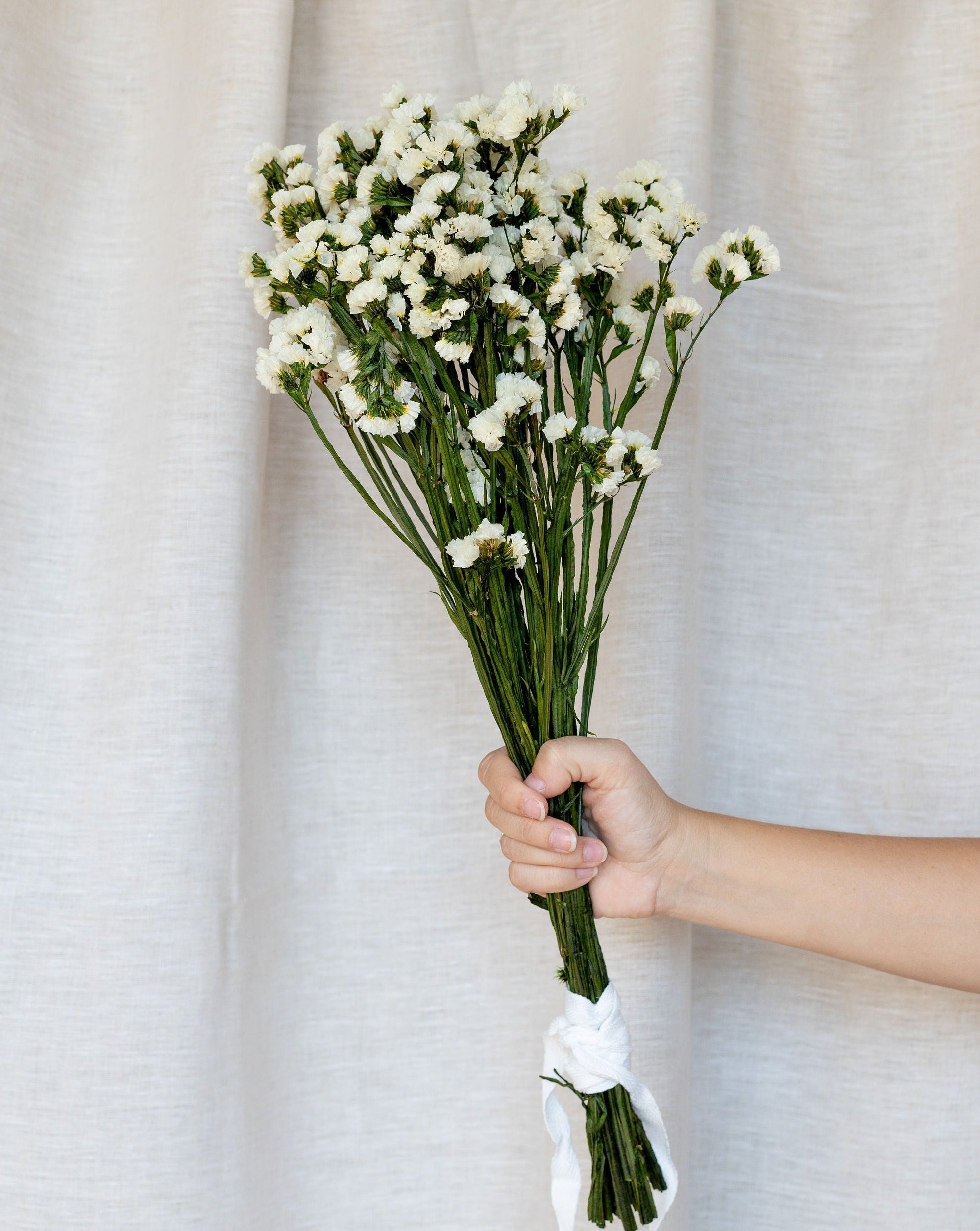 Flor statice ramo preservado blanco