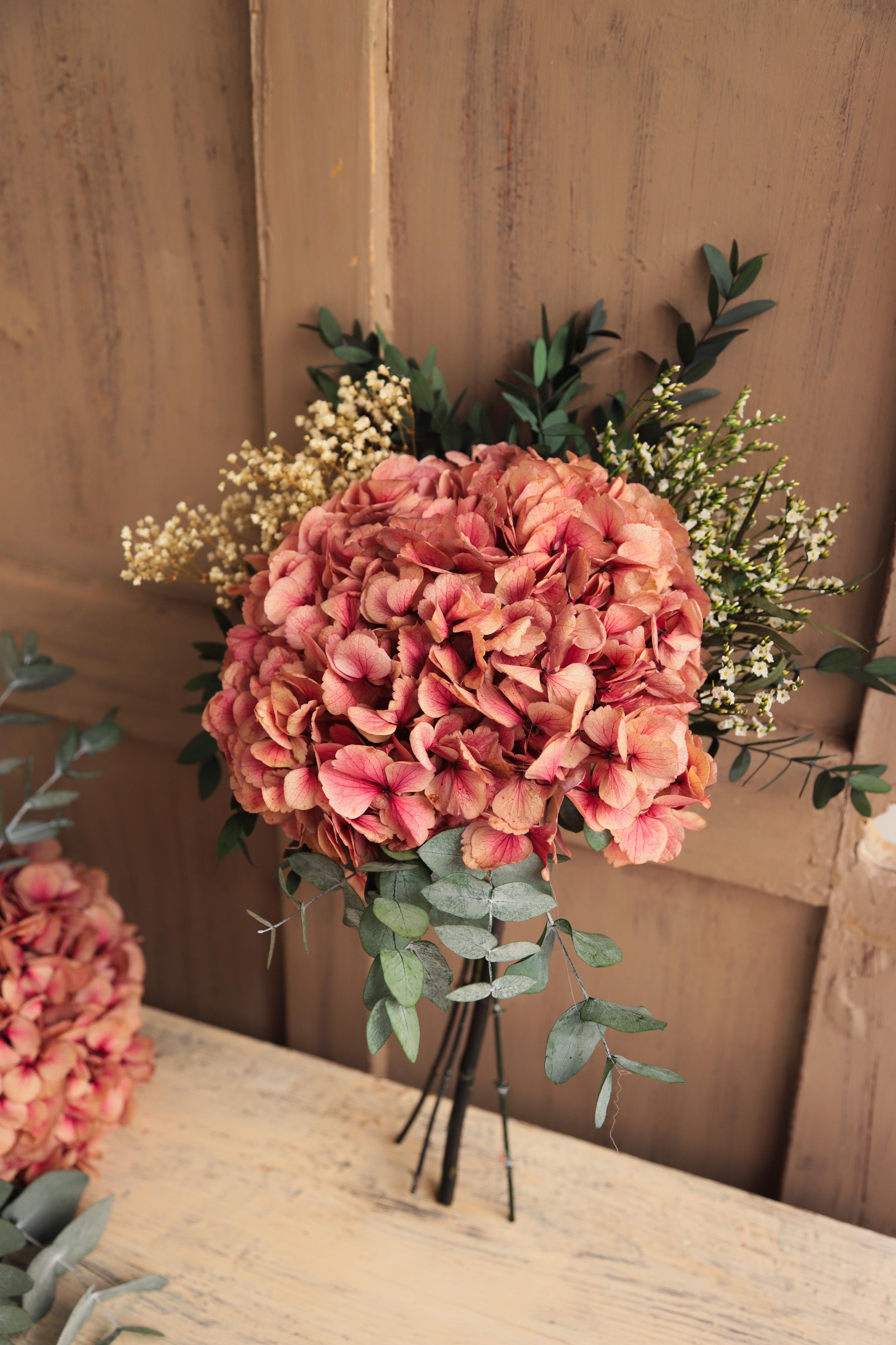 Hortensia preservada