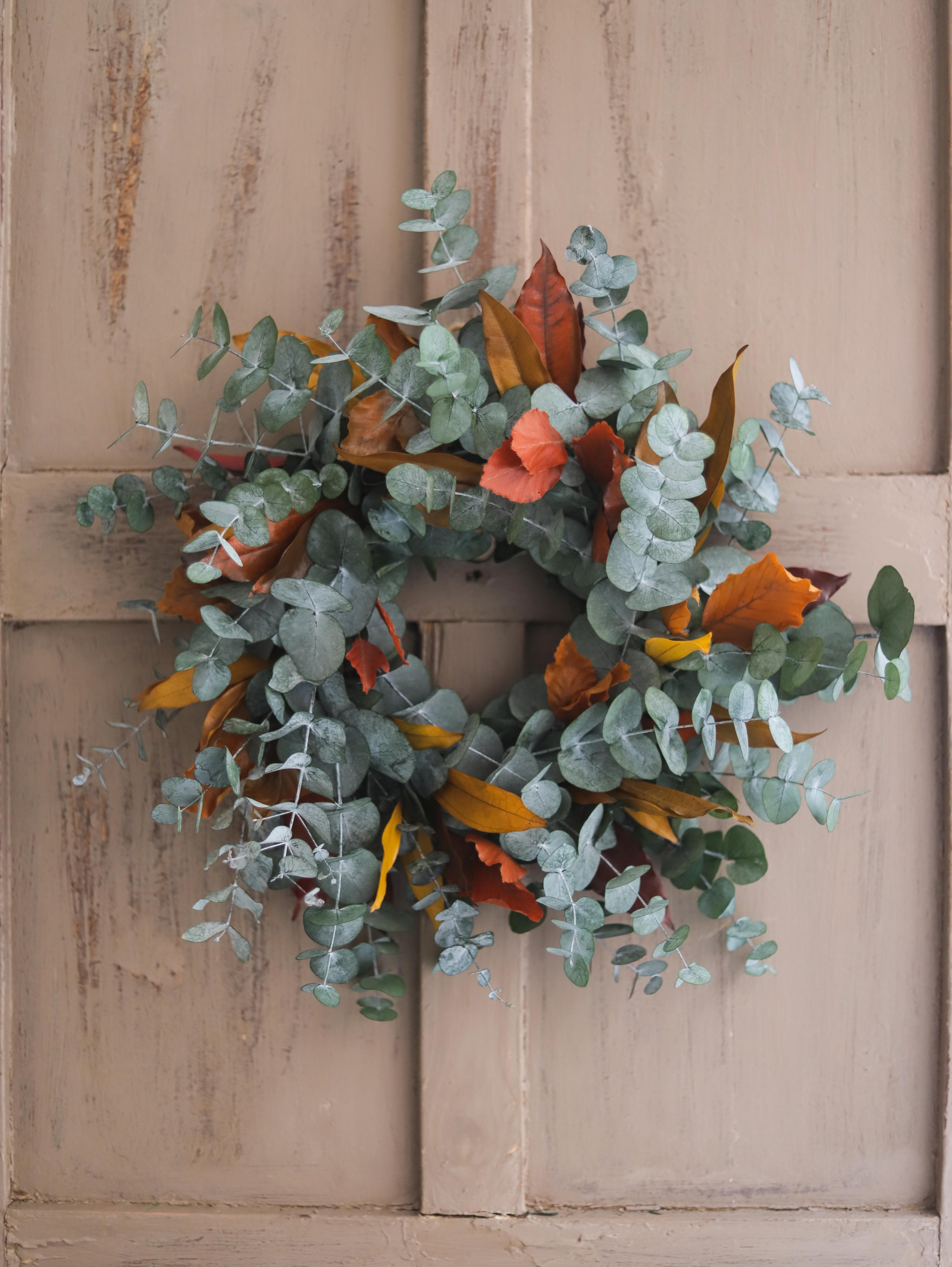 Decoración navidad preservada