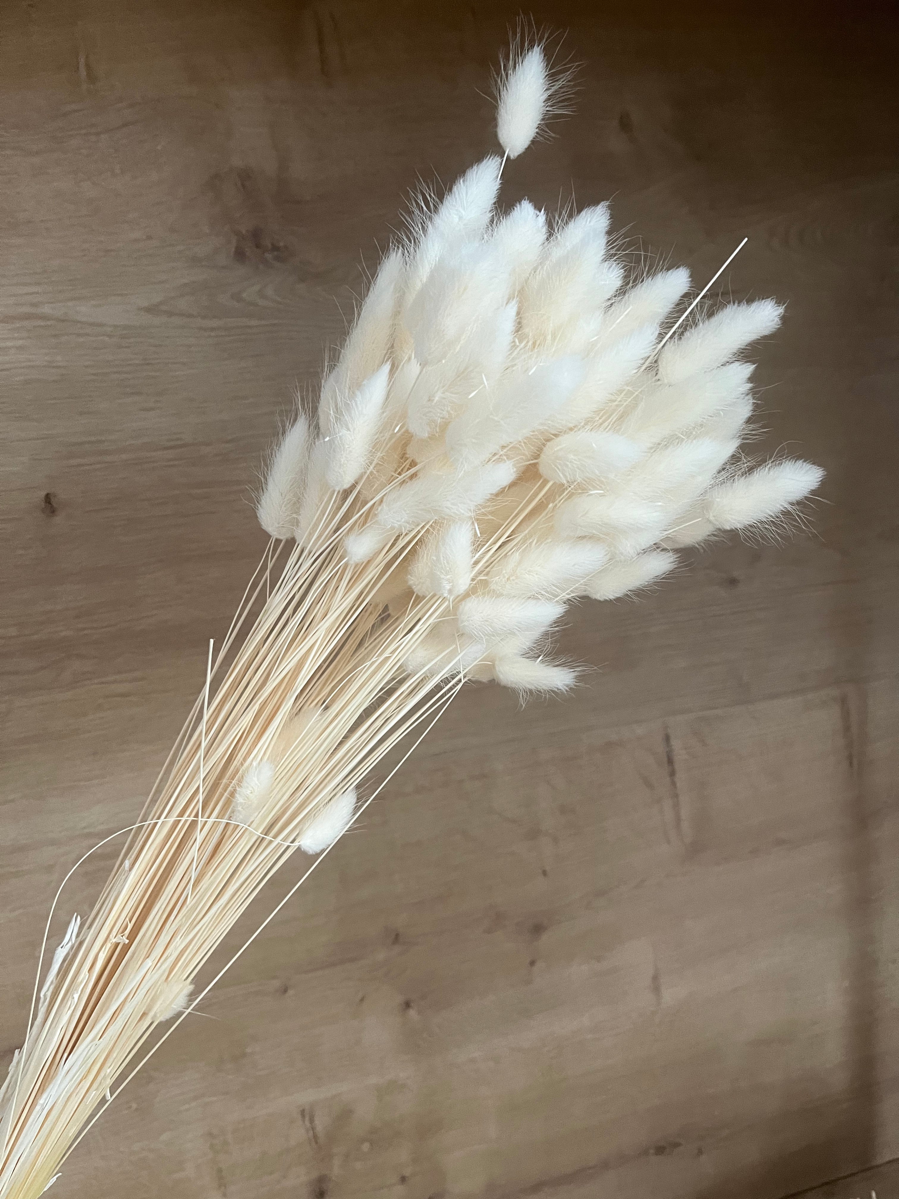 RAMILLETE PLUMERITOS