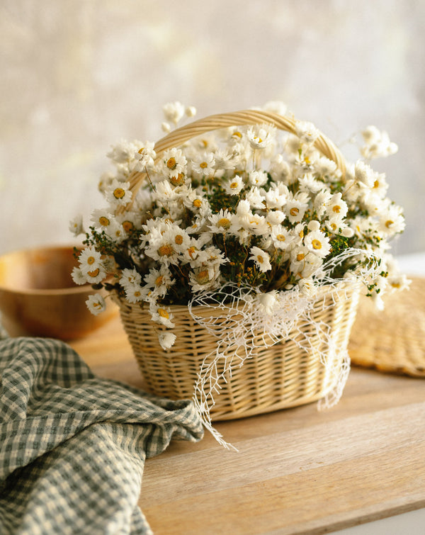 flores margaritas blancas