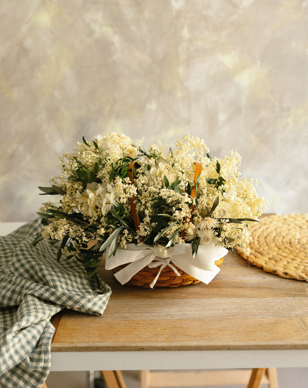 hortensia blanca brooms olivo