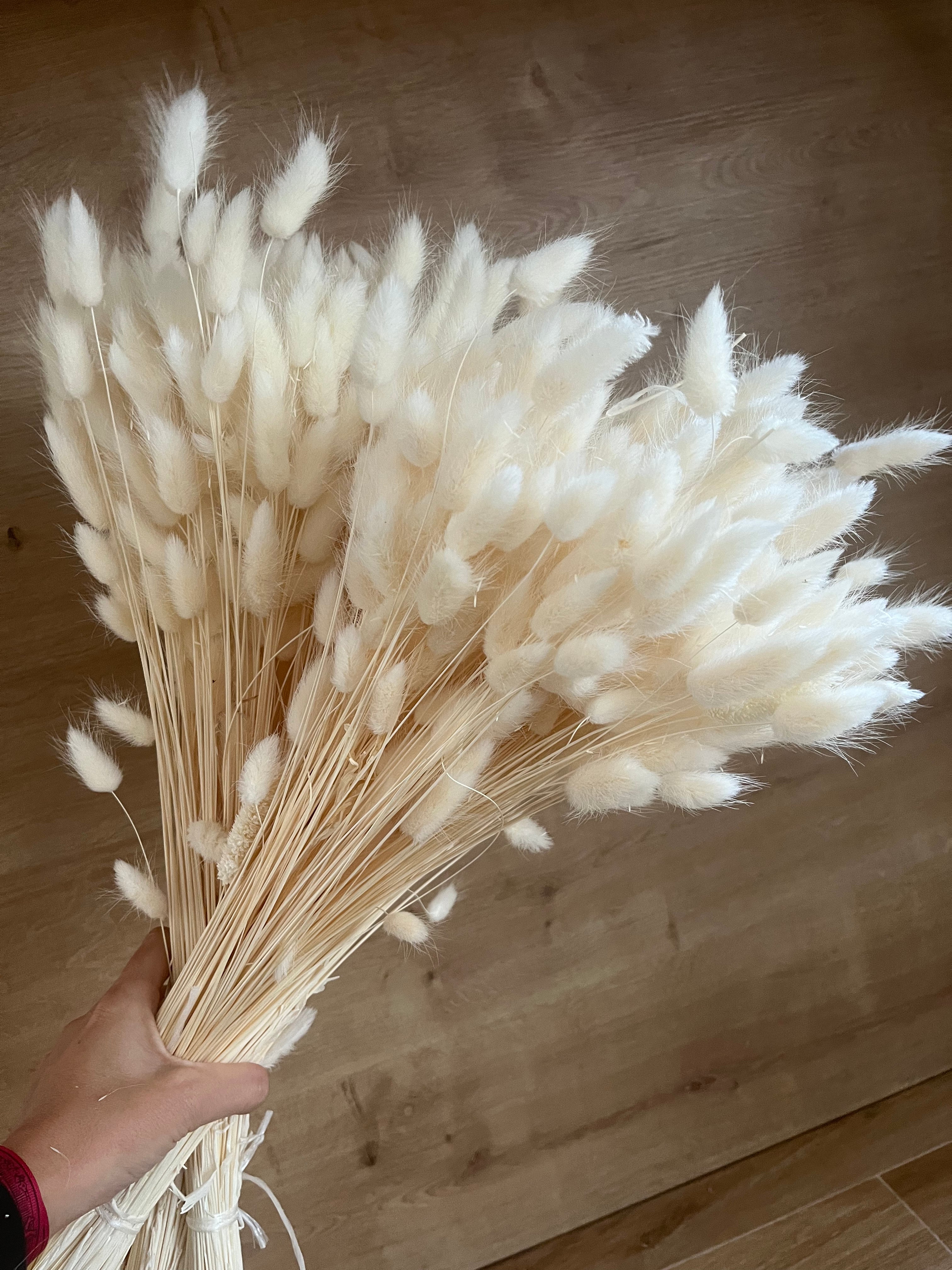 RAMILLETE PLUMERITOS