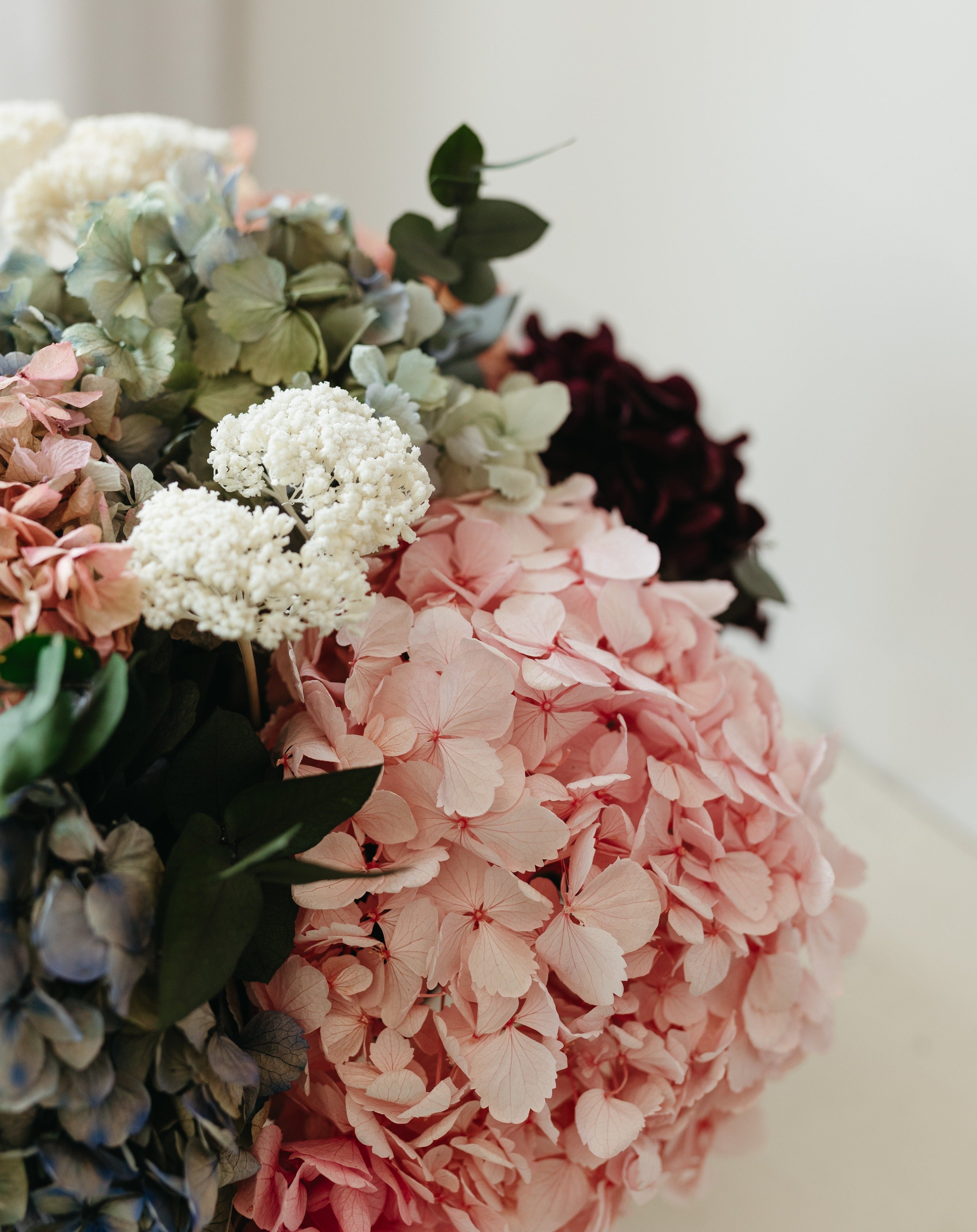 flor de hortensia rosas