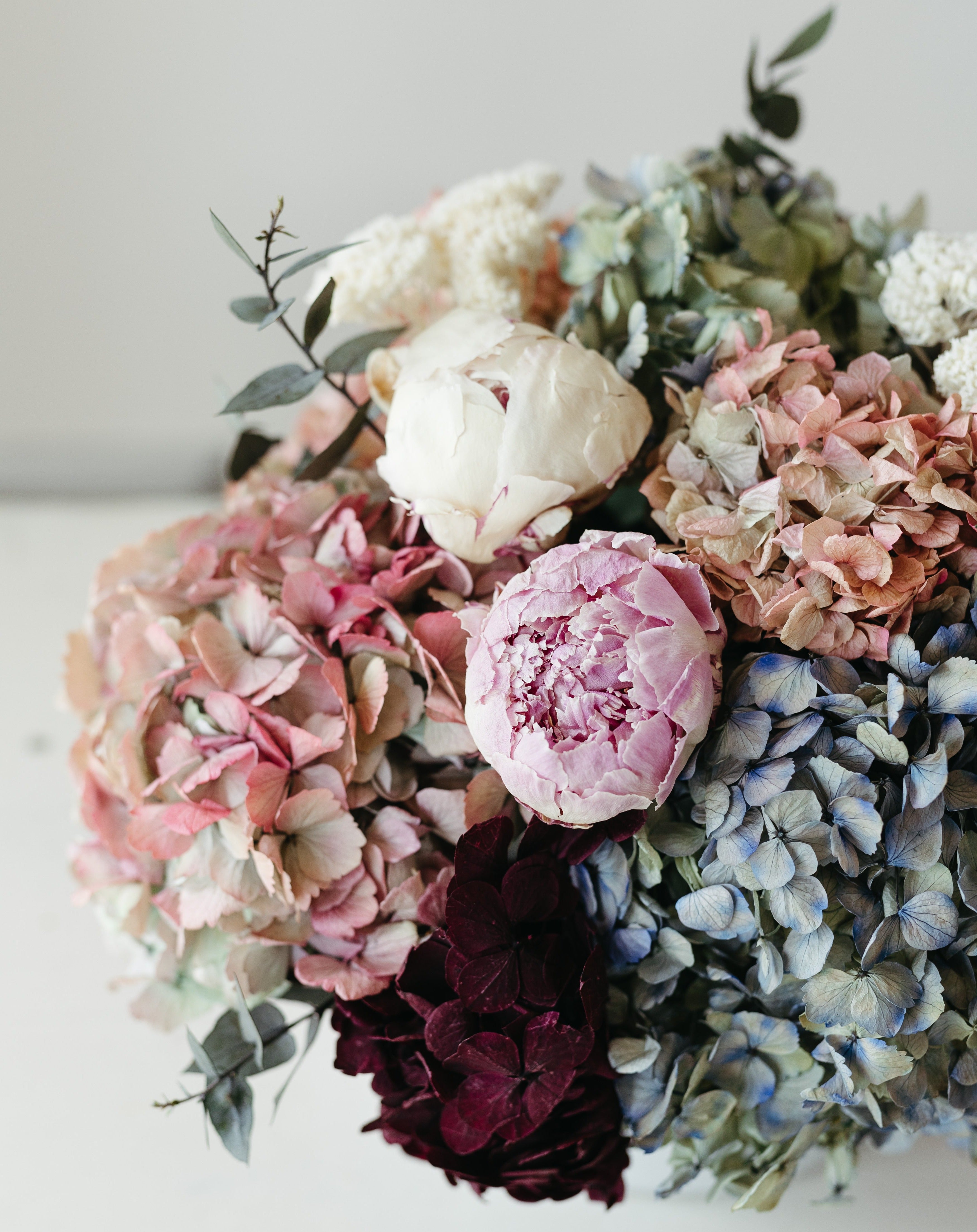 flores peonías y hortensias