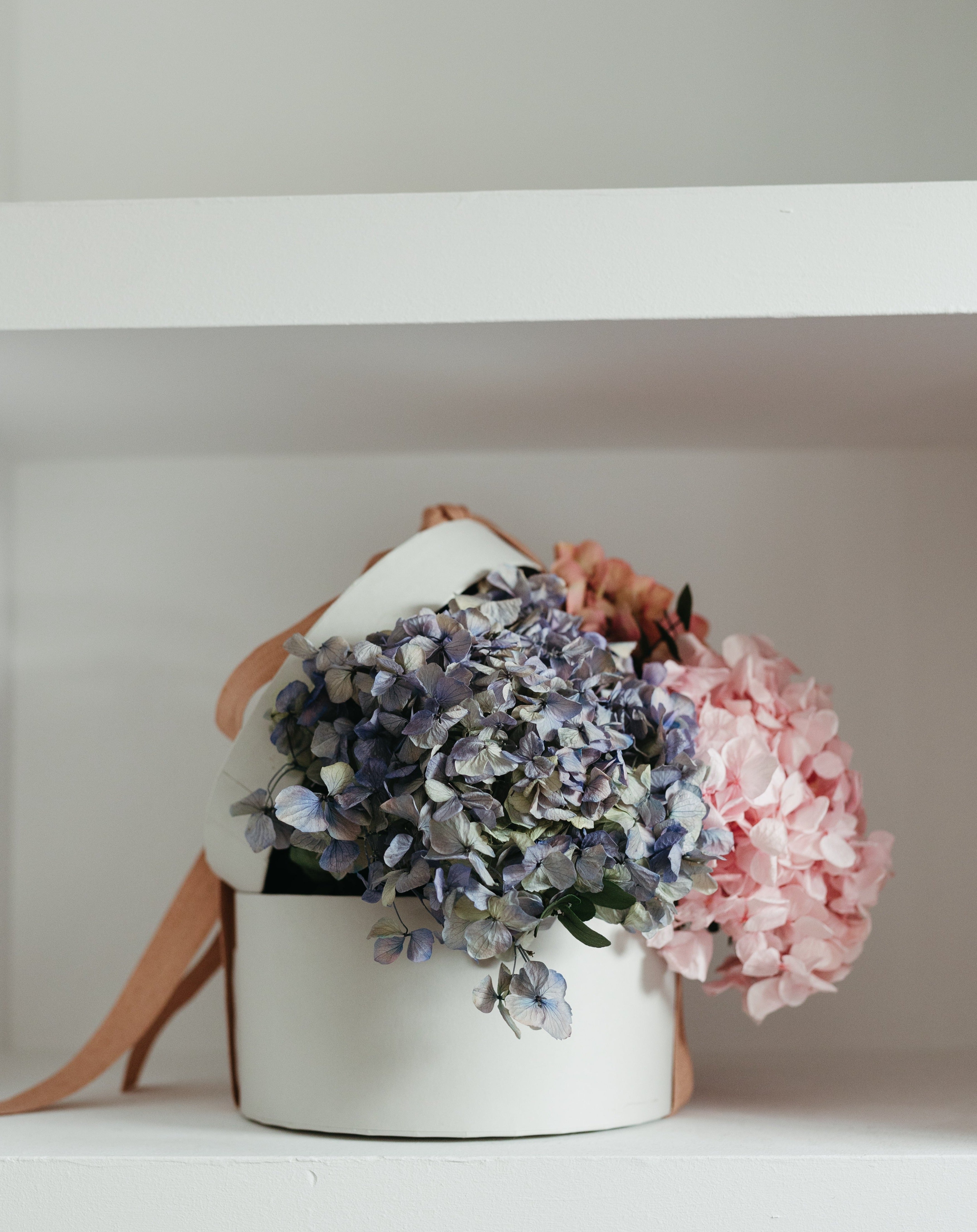 bombonera hortensias preservadas