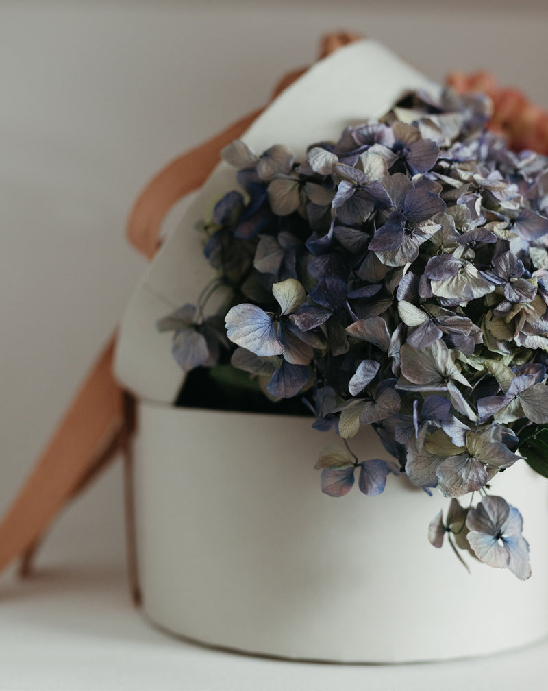 hortensia azul