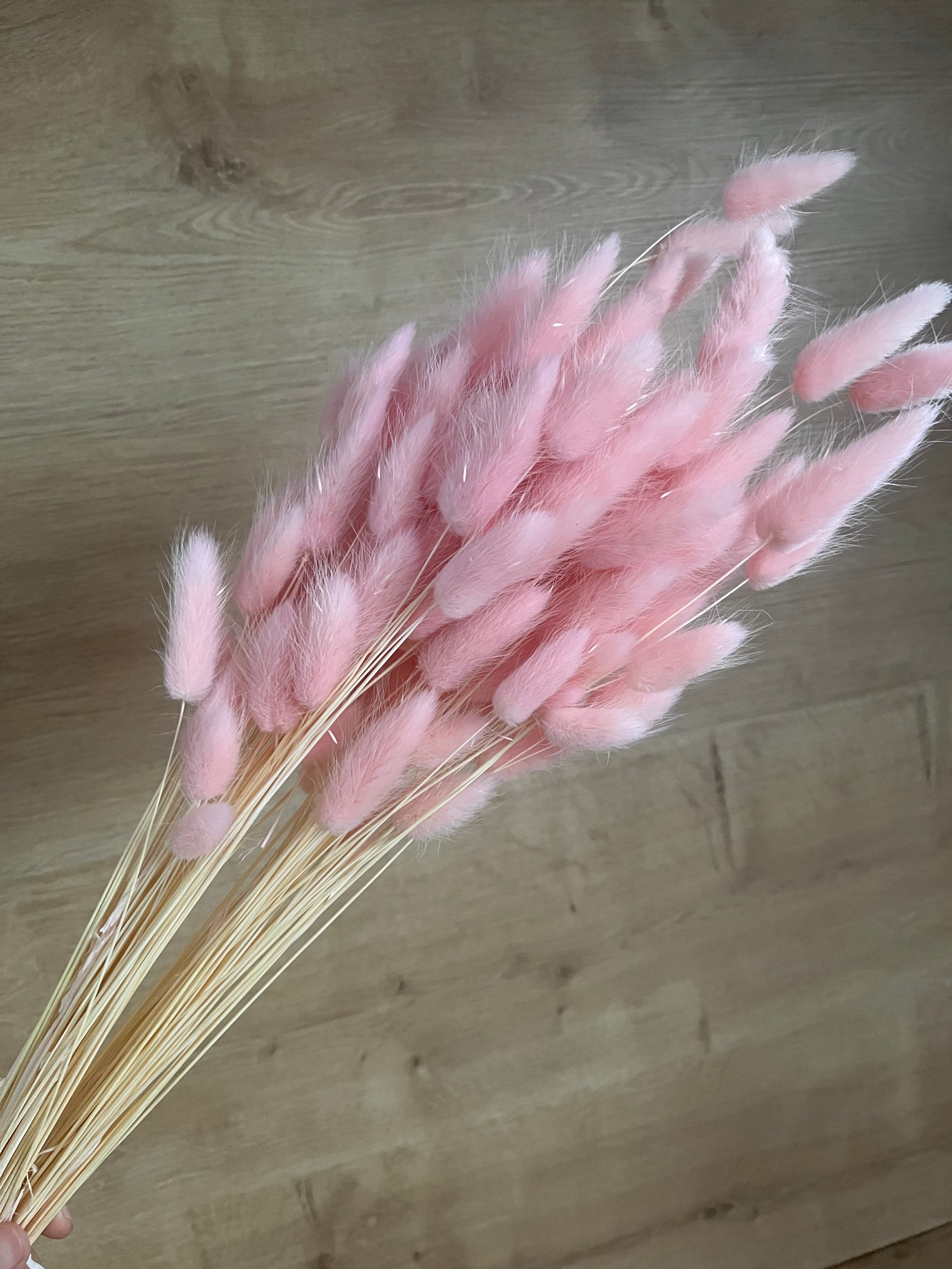 Ramillete lagurus seco rosa
