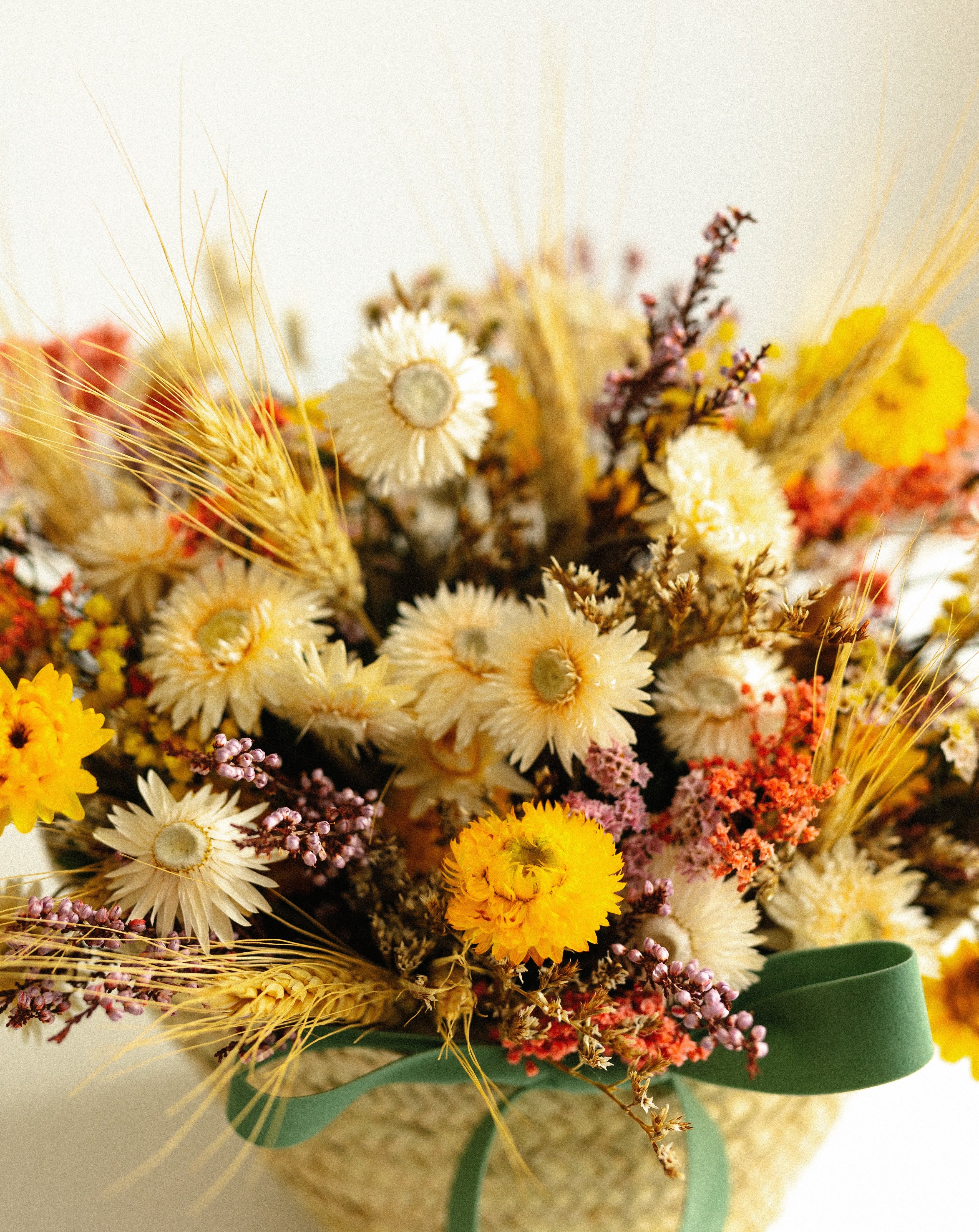 trigo helichrysum amarillo y blanco