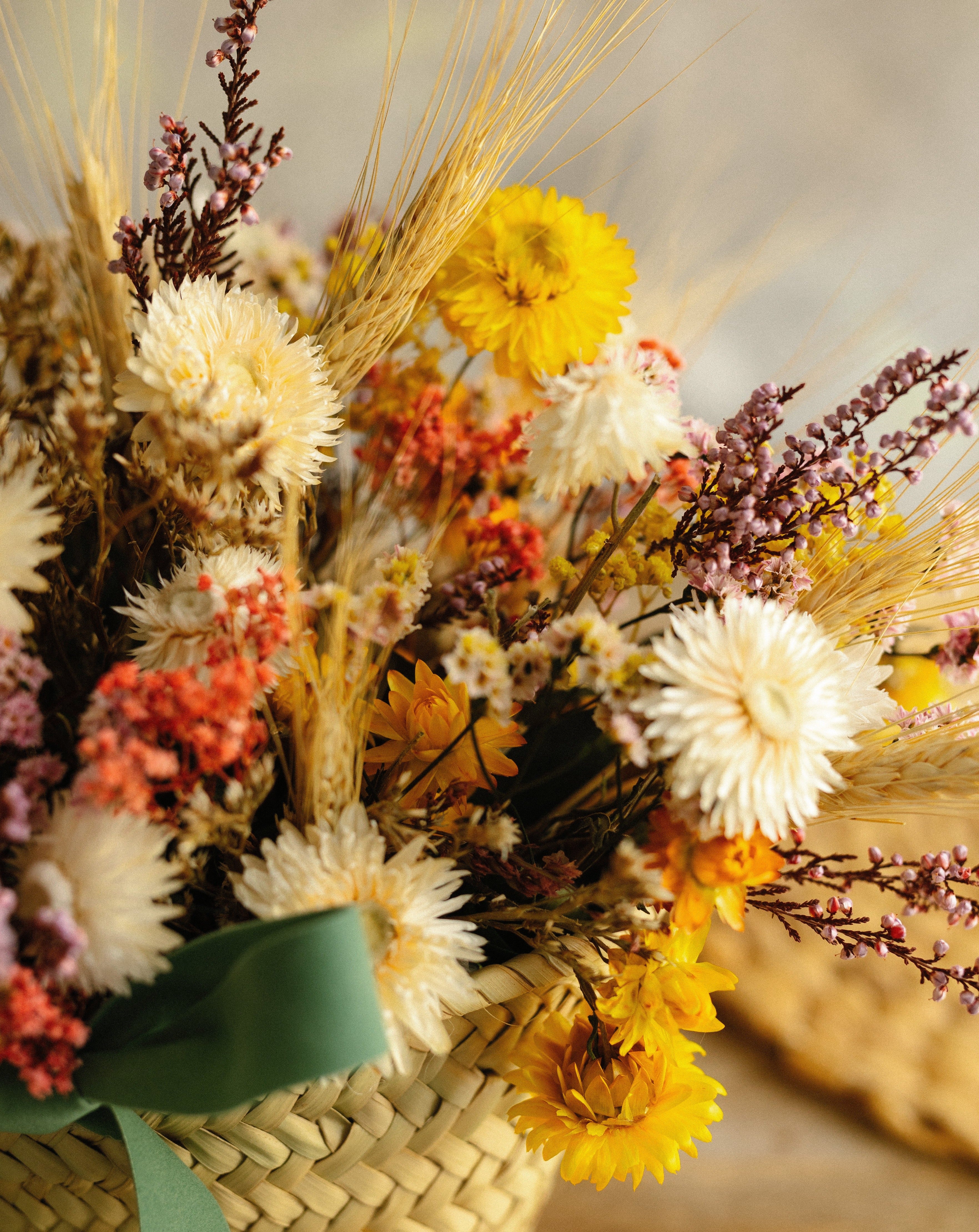 flor paniculata rosa y trigo