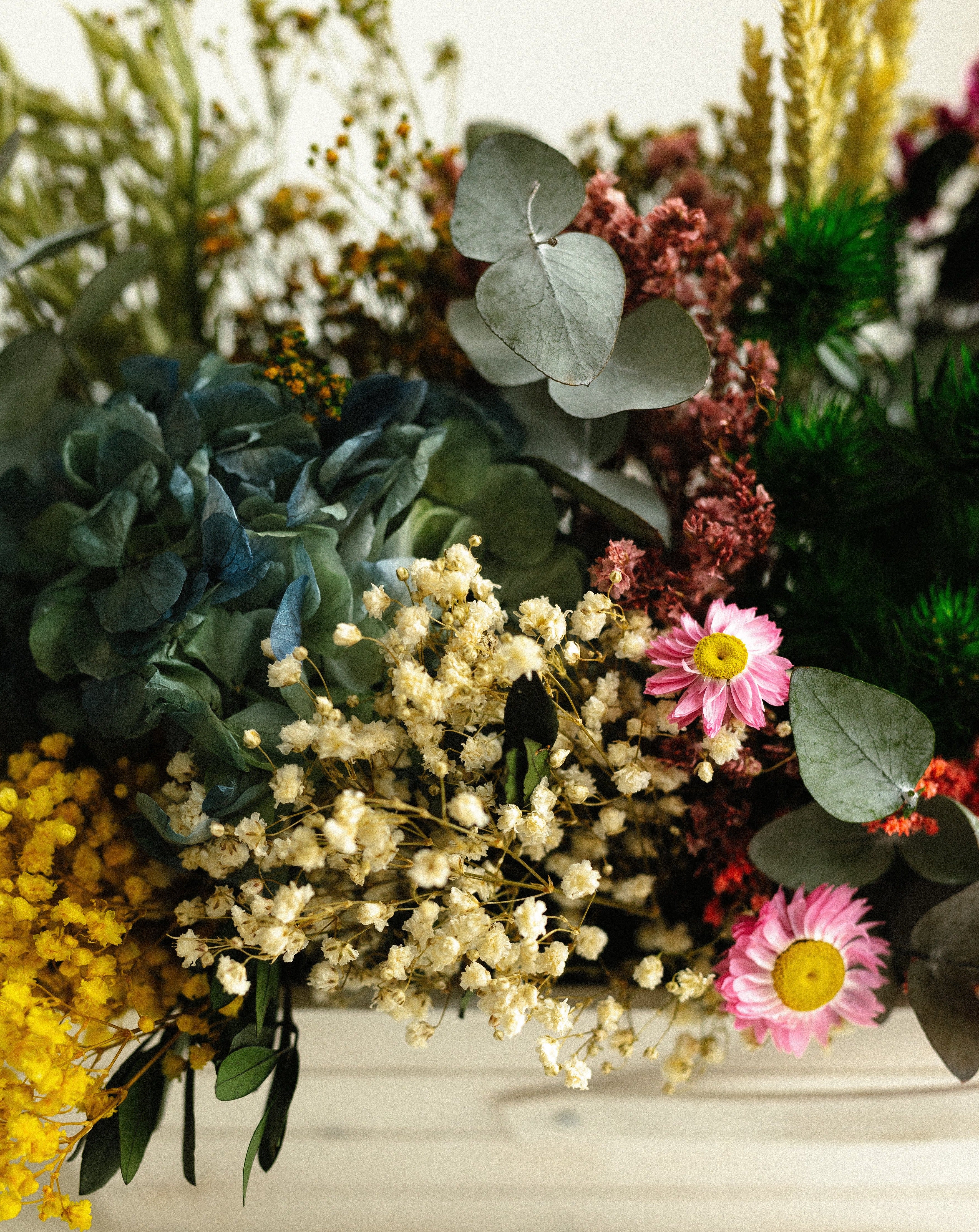 Cesta paniculata y eryngium