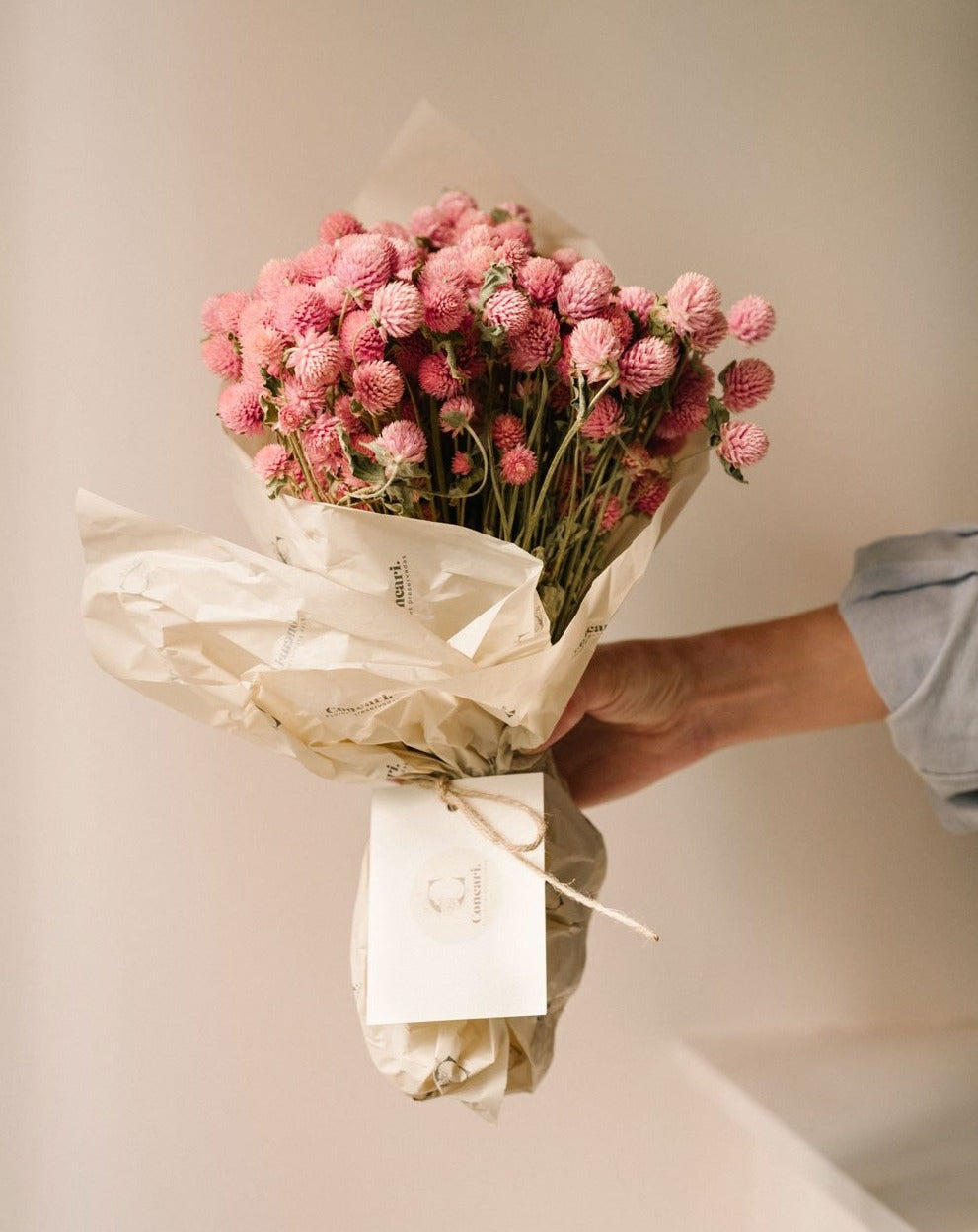 Perpetuina rosa seca