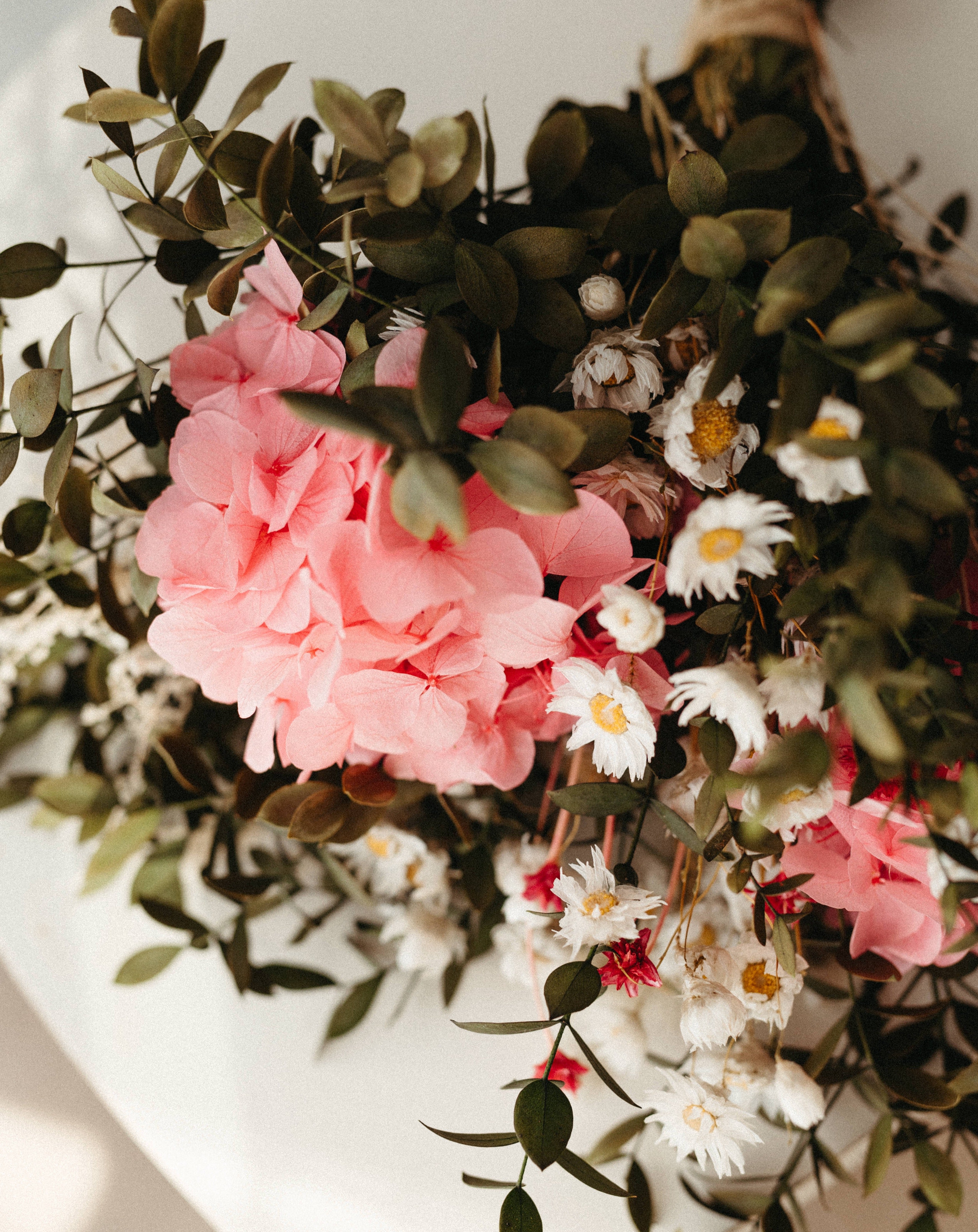 margaritas y hortensias