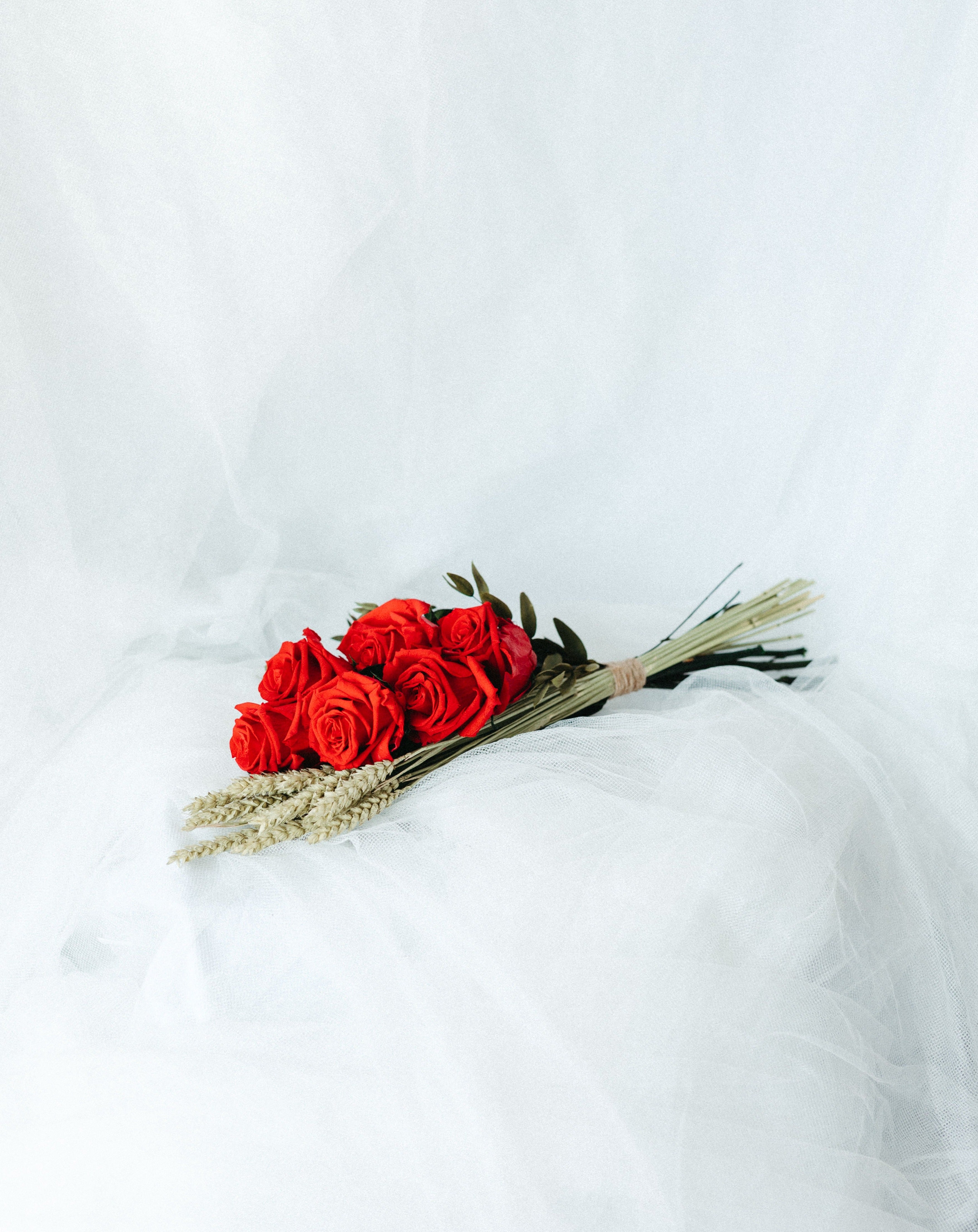 ROSA SANT JORDI