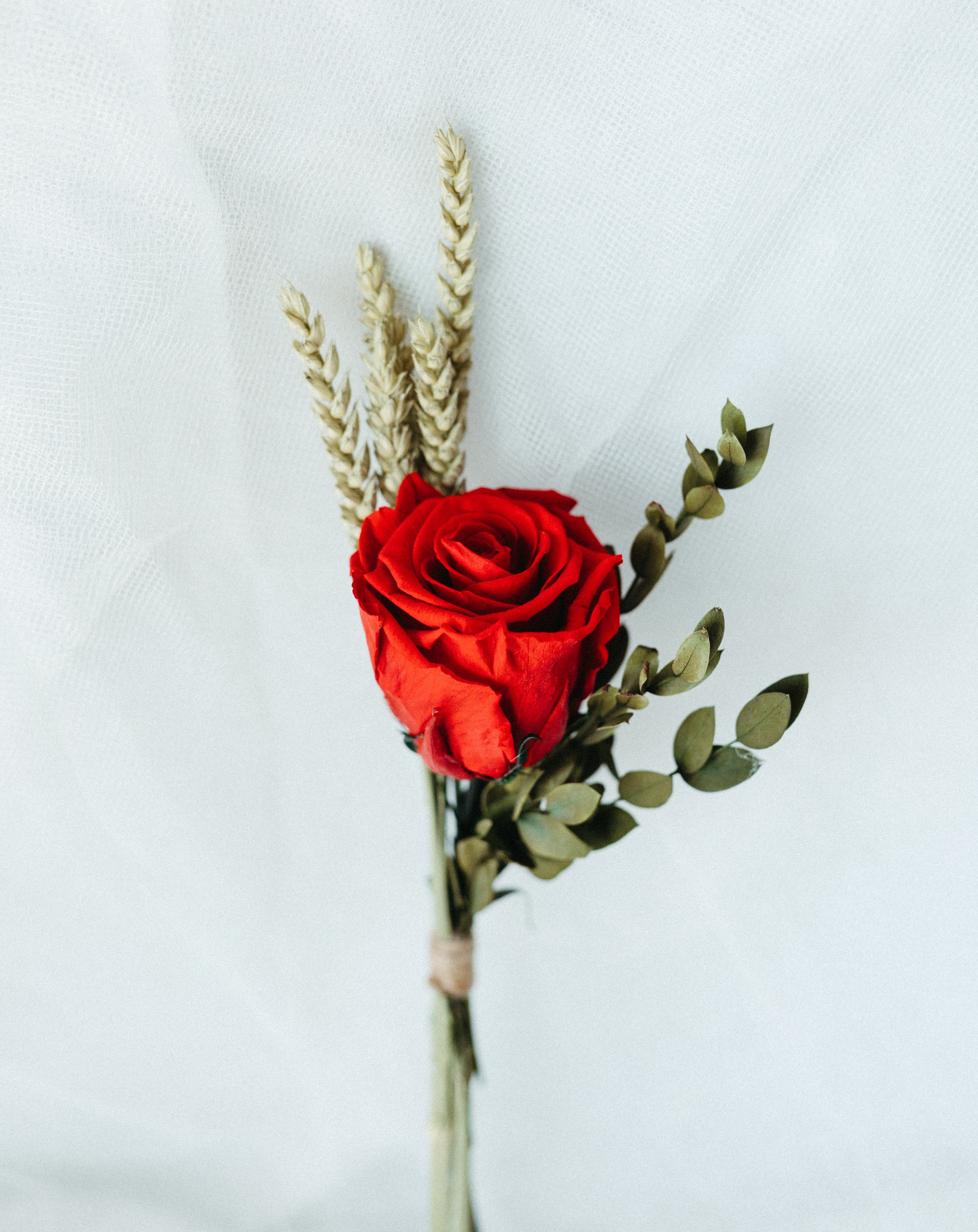 ROSA SANT JORDI