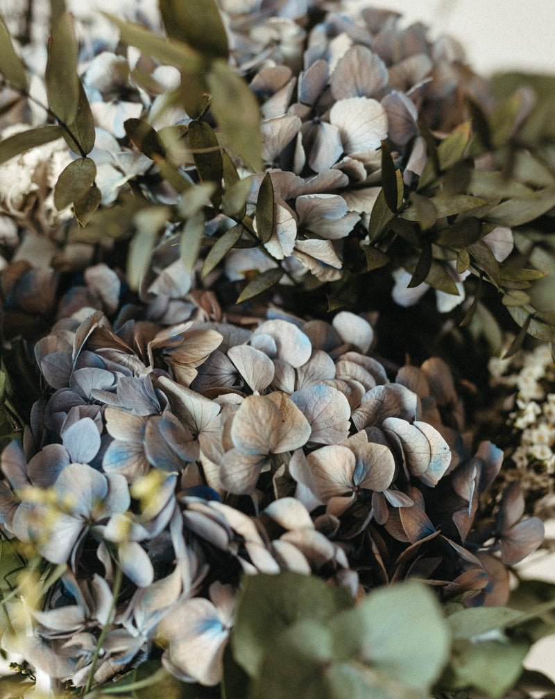 hortensias azules decoración