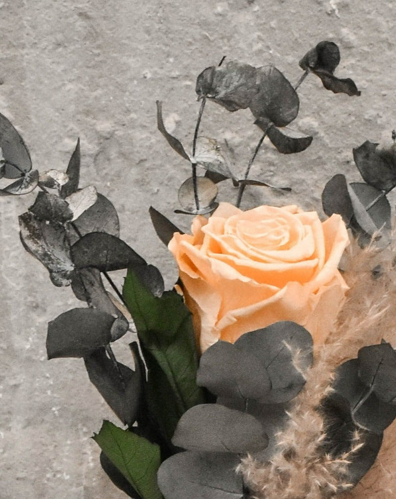 Flor de rosa preservada anaranjada