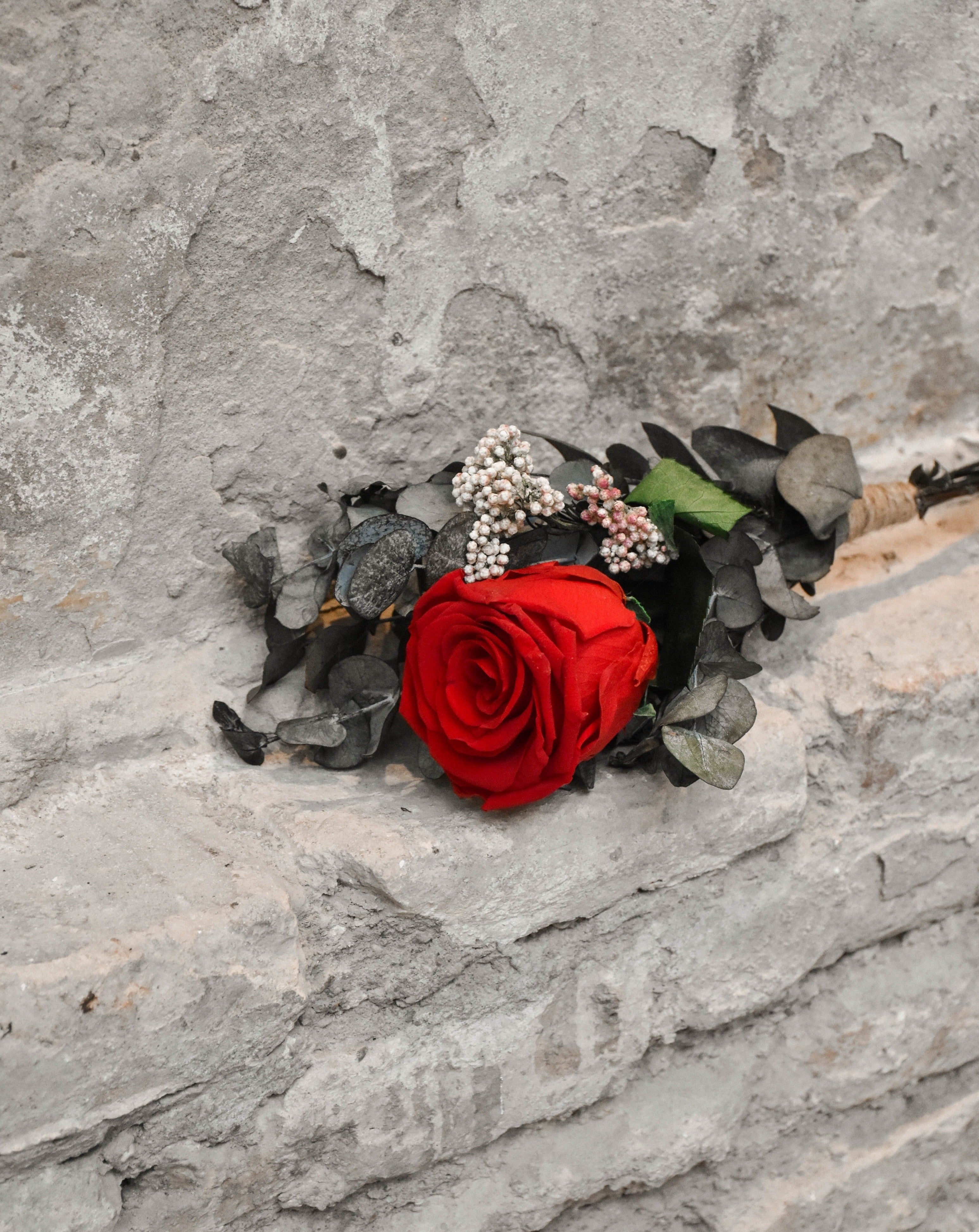 Ramillete de rosa preservada roja