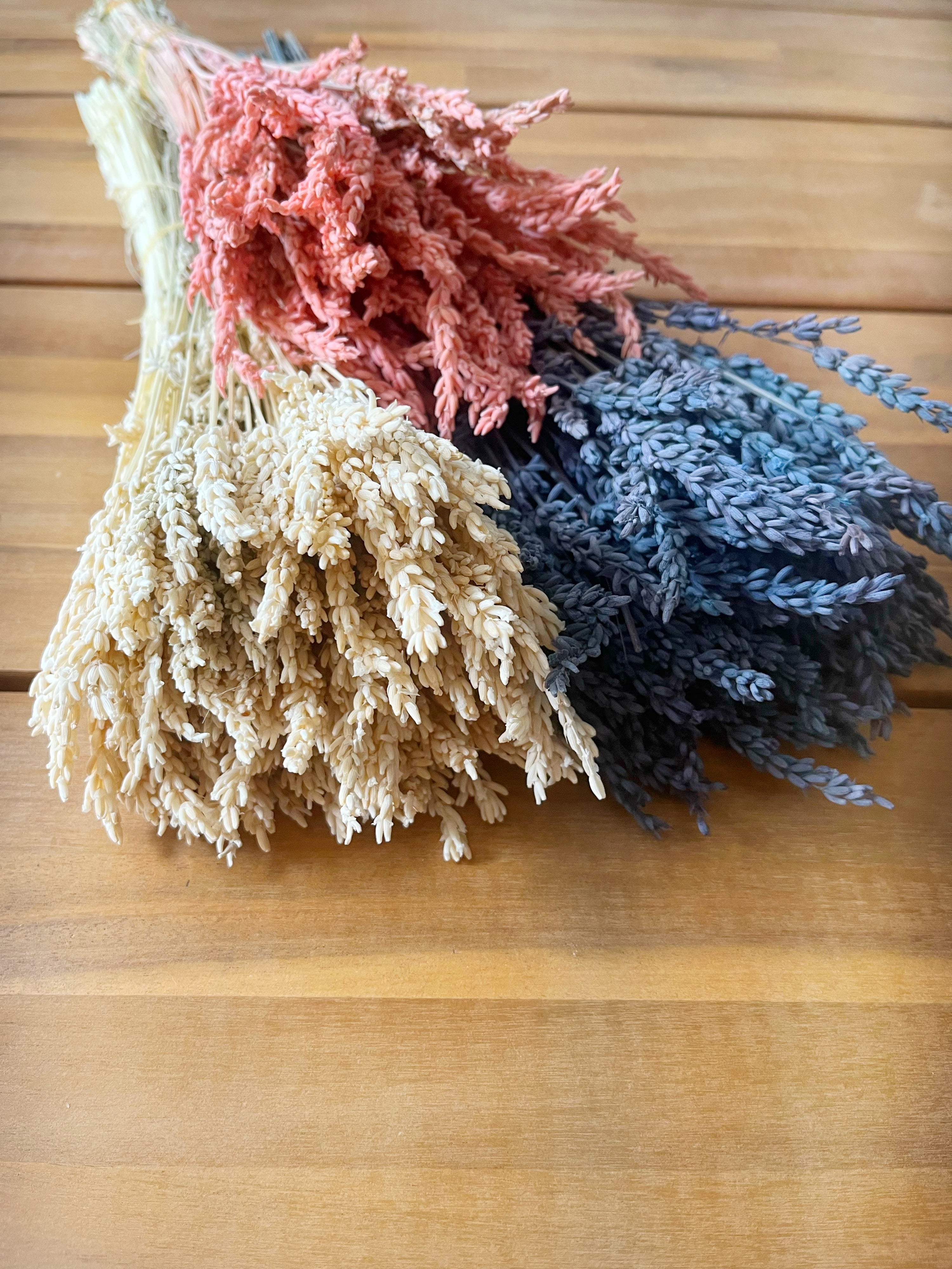 Diferentes colores Lavandin preservado