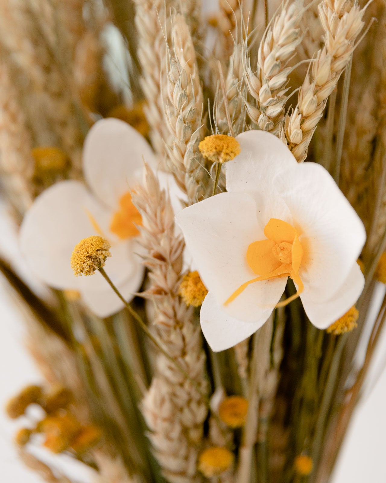 trigo camomila y orquídeas