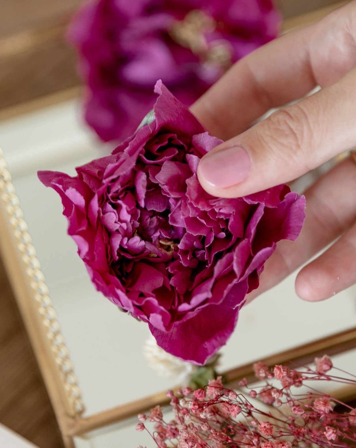 Decoración peonia preservada morada